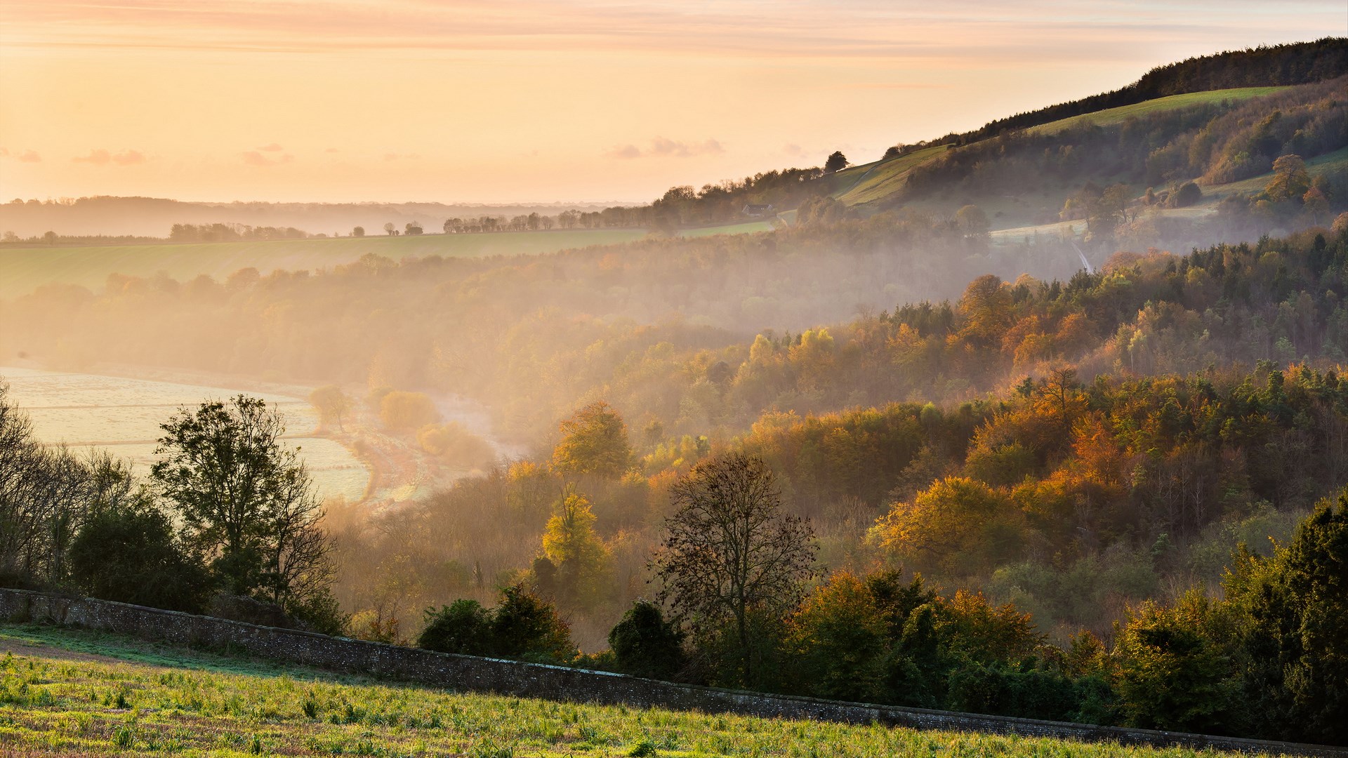 Misty valley with autumn trees at sunrise HD Wallpaper