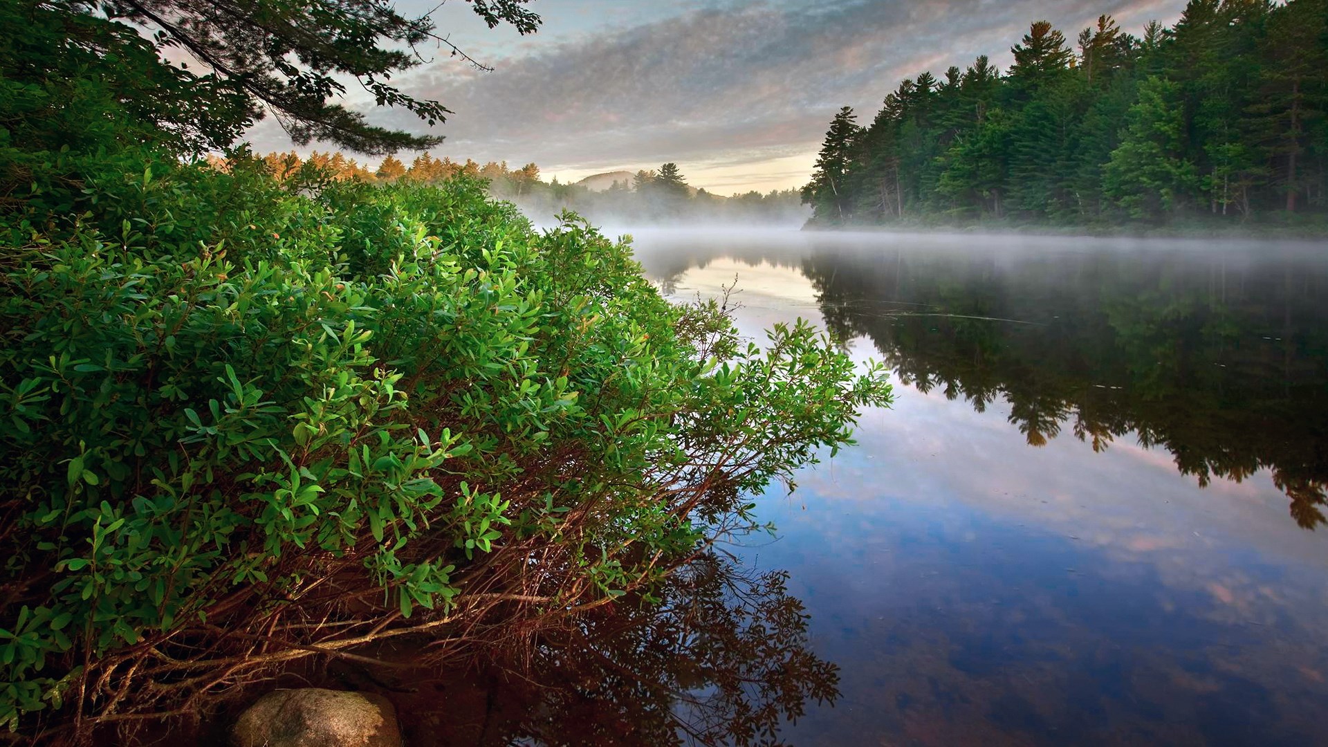 Misty lake at sunrise with lush green bushes HD Wallpaper