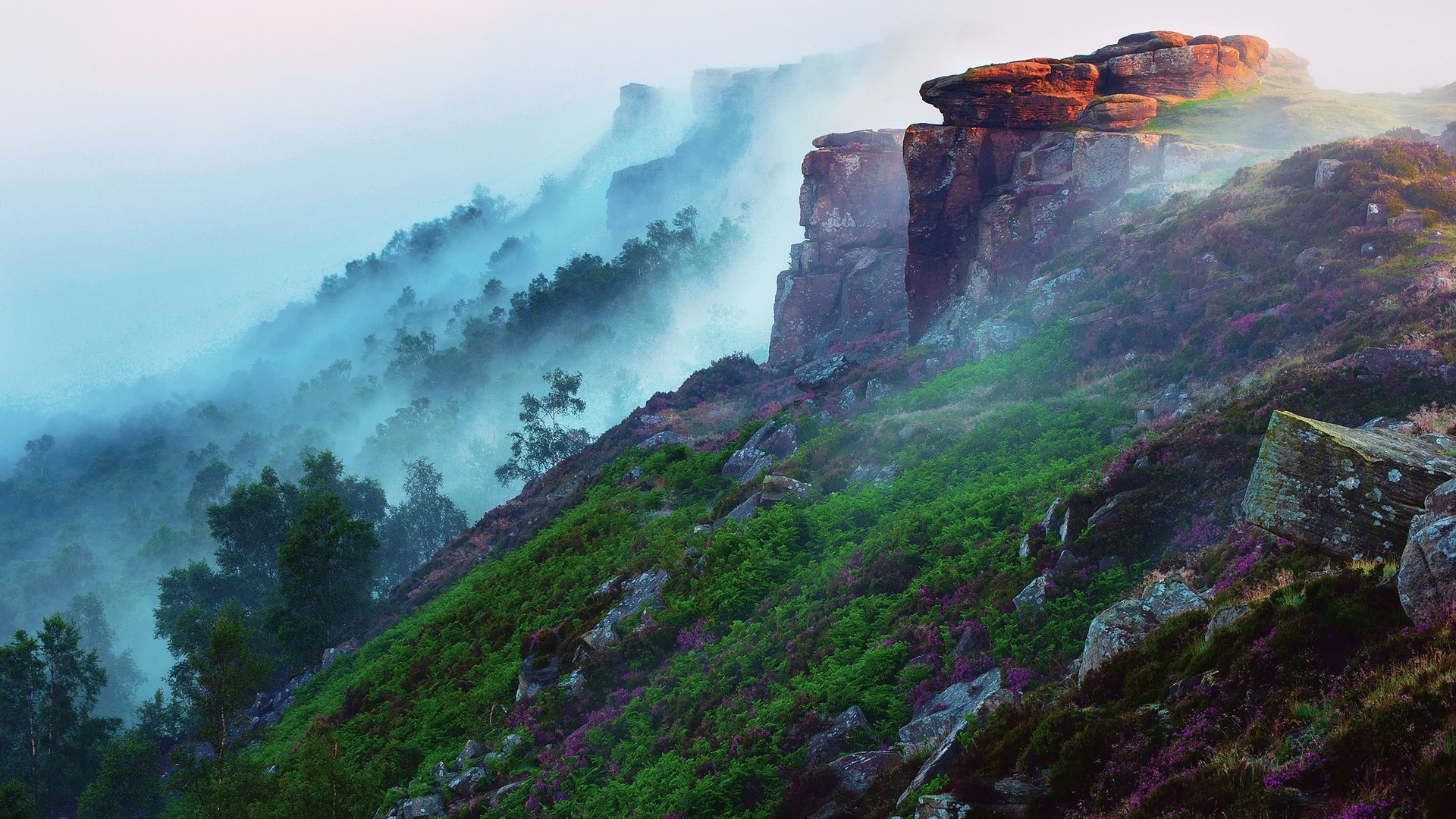 Misty mountains with rocky cliffs and heather HD Wallpaper