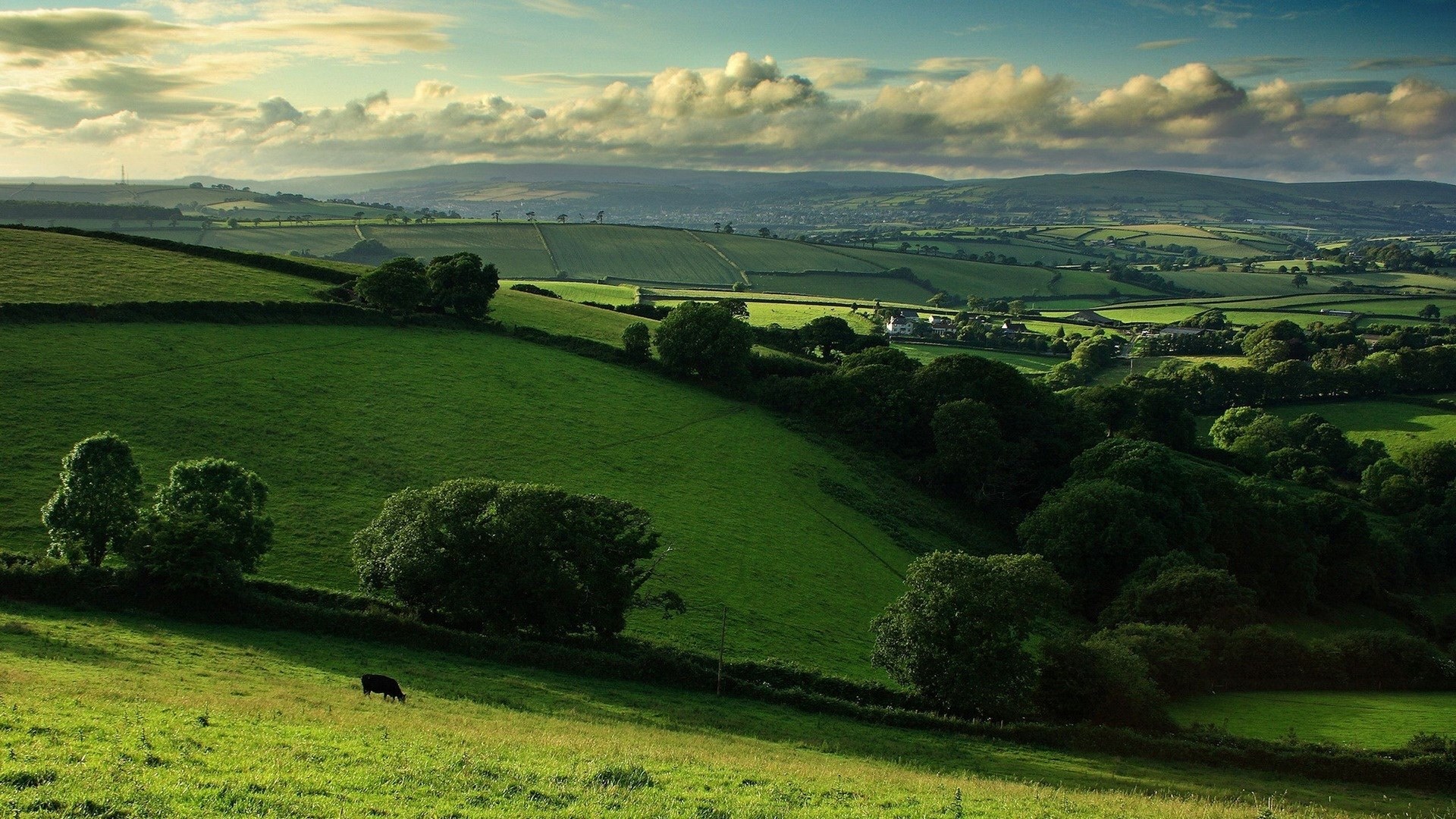 Rolling green hills and farmland under a cloudy sky HD Wallpaper