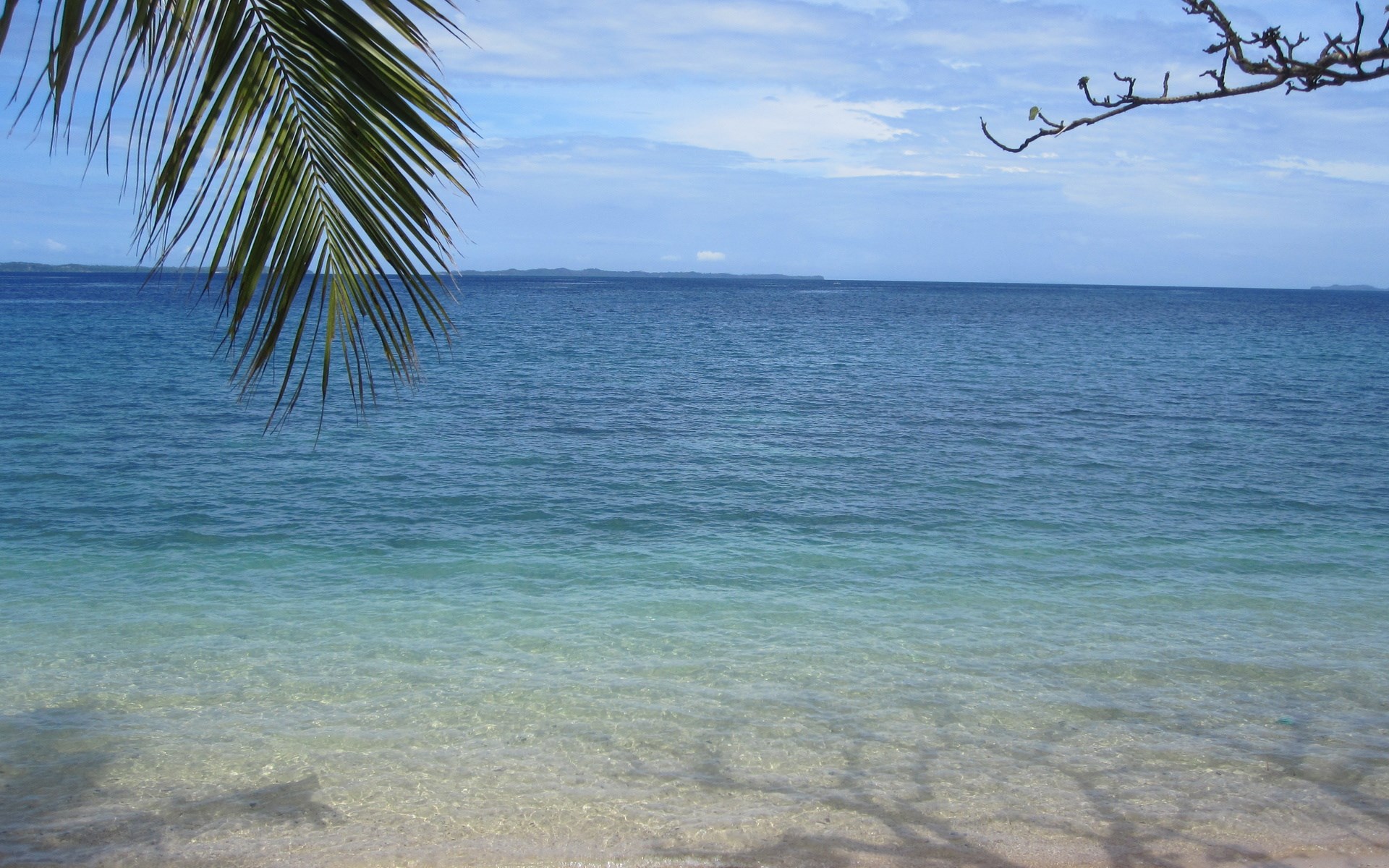 Tropical beach with clear water and palm fronds HD Wallpaper