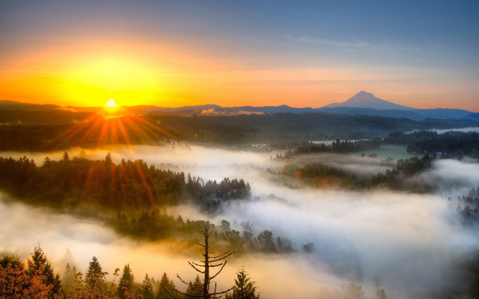 Sunrise over misty forest with distant mountain HD Wallpaper