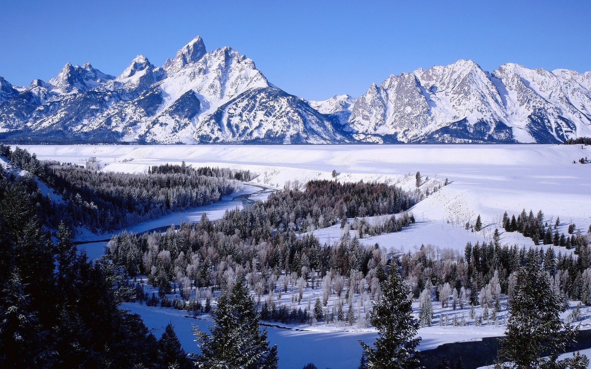 Snowy mountains and forest with a river HD Wallpaper