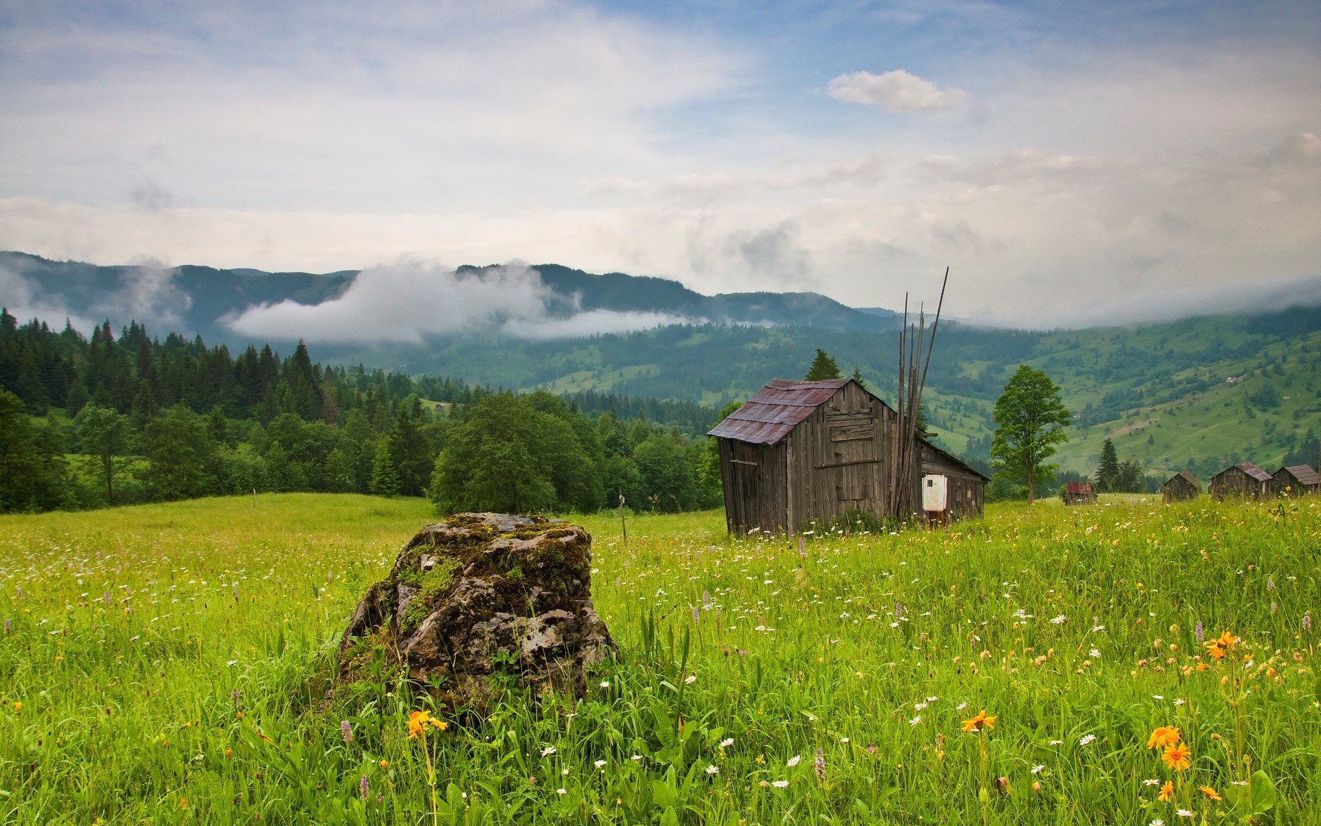Wooden barn in a grassy meadow with mountains HD Wallpaper