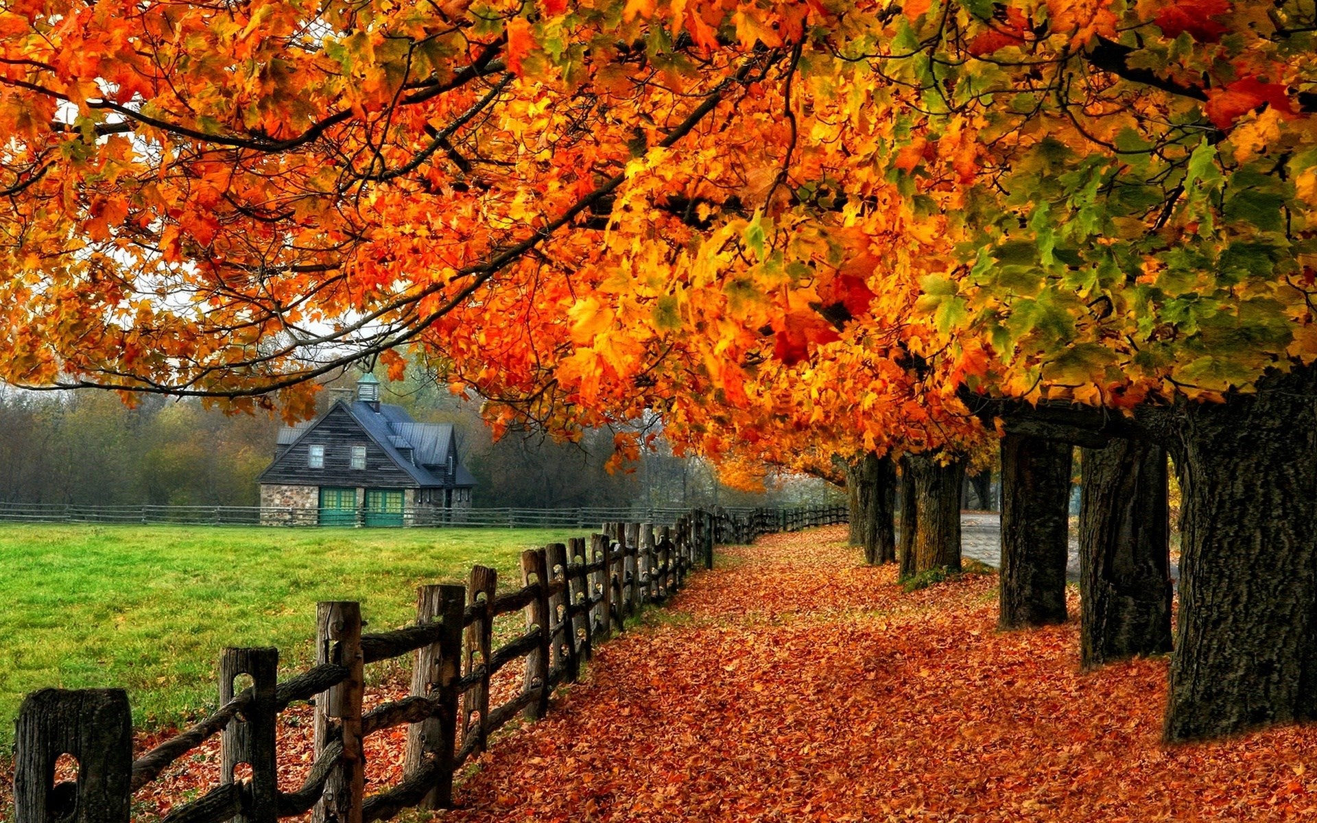 Autumn path with fallen leaves and a rustic house HD Wallpaper
