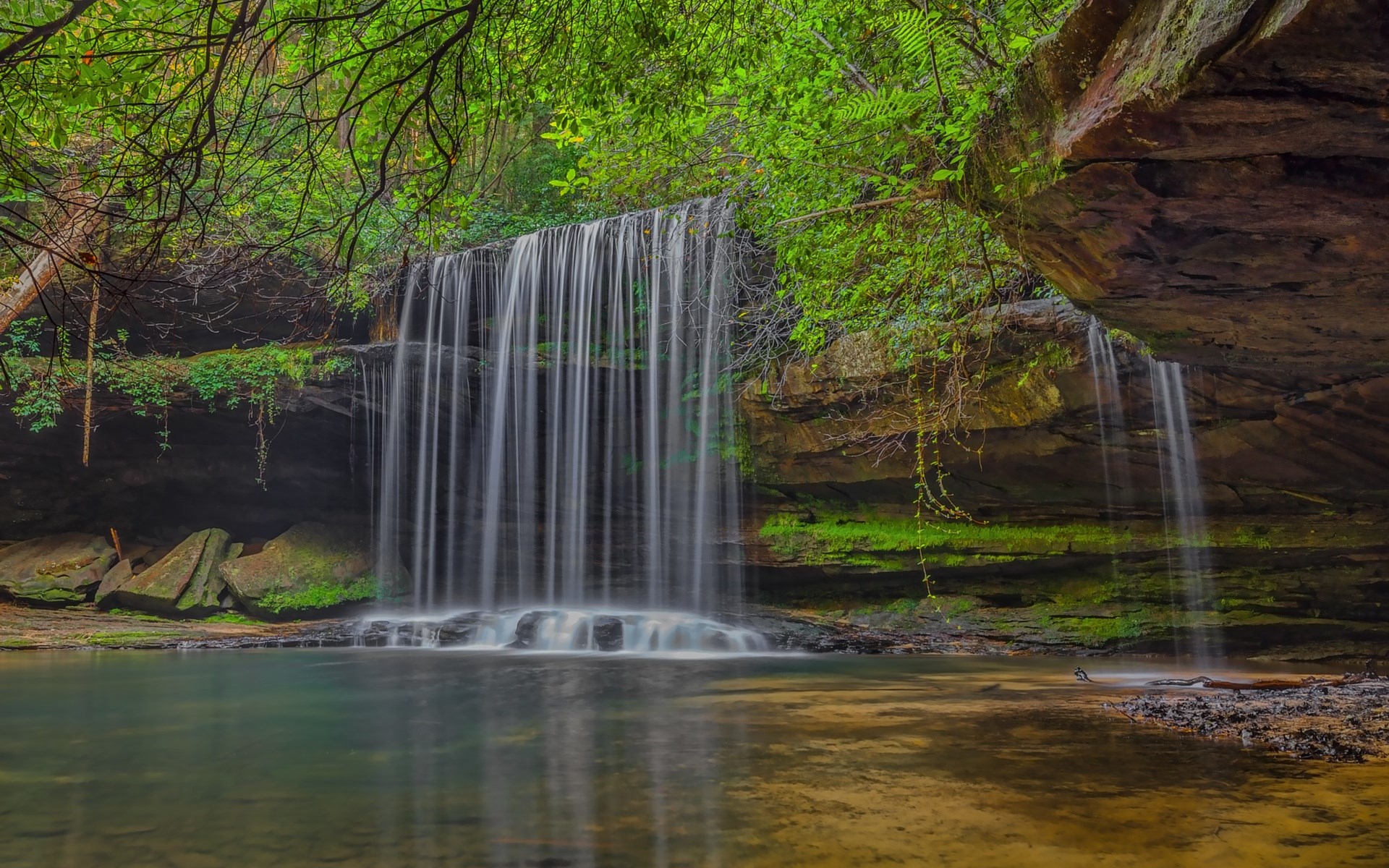 Waterfall cascading into a clear pool in a lush forest HD Wallpaper