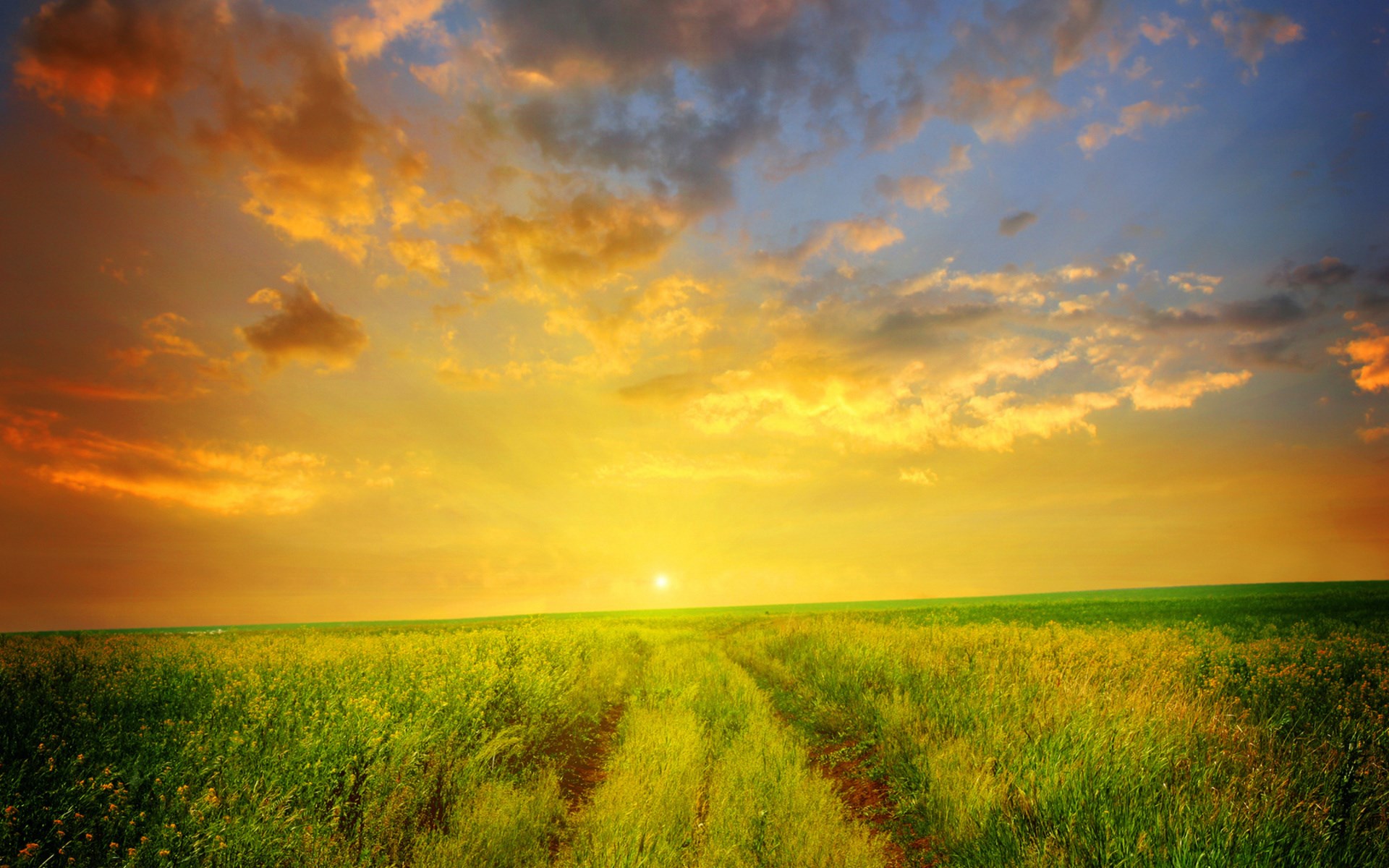 Sunset over a grassy field with a dirt path HD Wallpaper