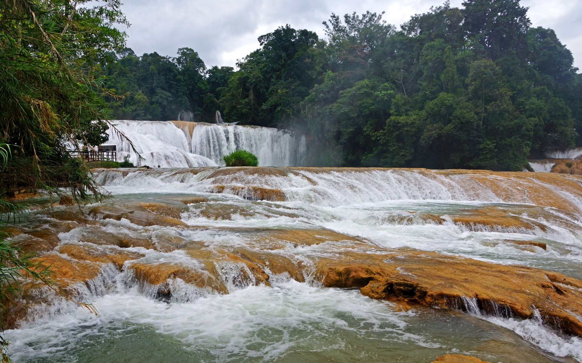 Cascading waterfalls flowing over ochre rocks in a lush forest HD Wallpaper