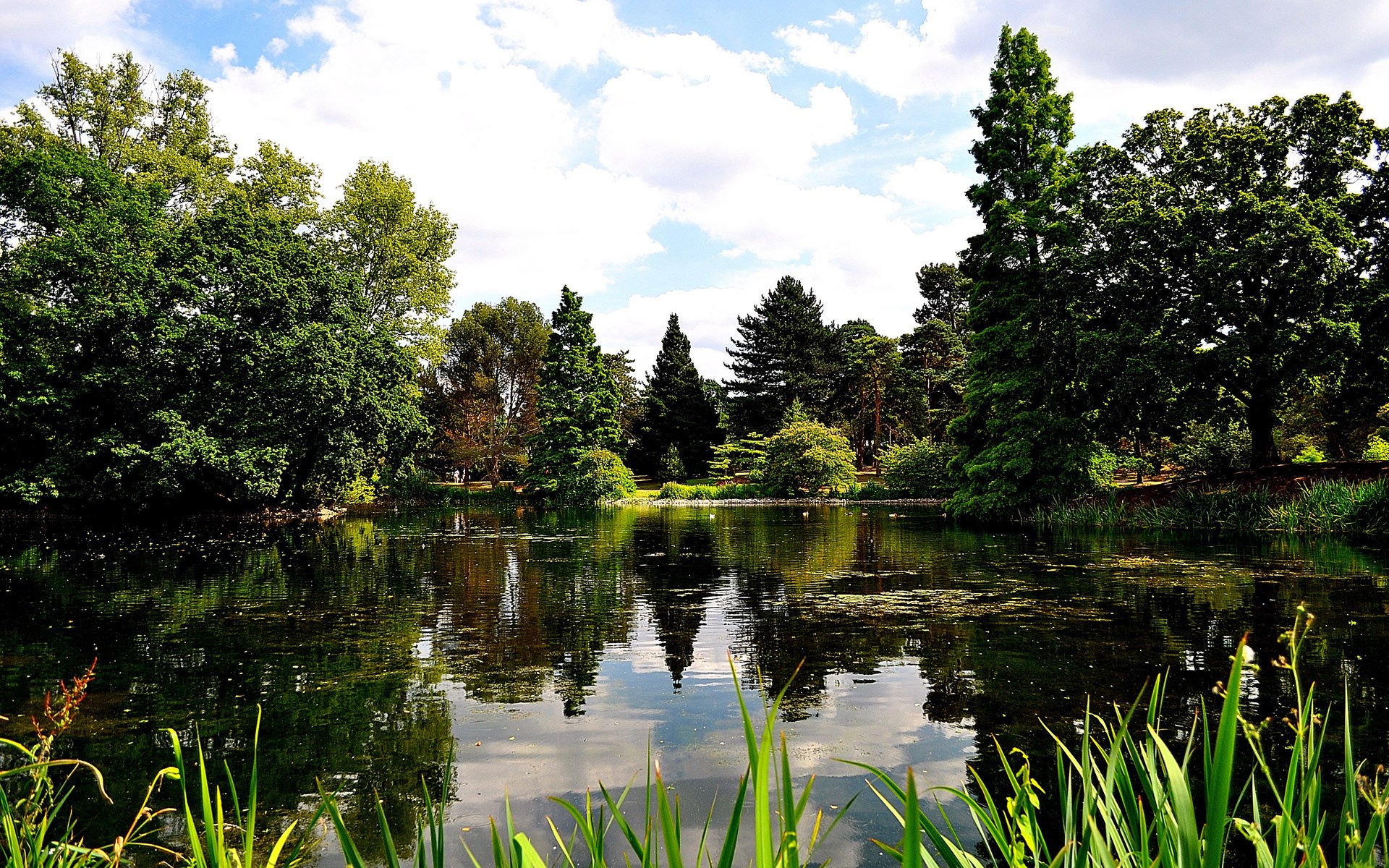 A tranquil lake surrounded by lush green trees under a cloudy sky HD Wallpaper