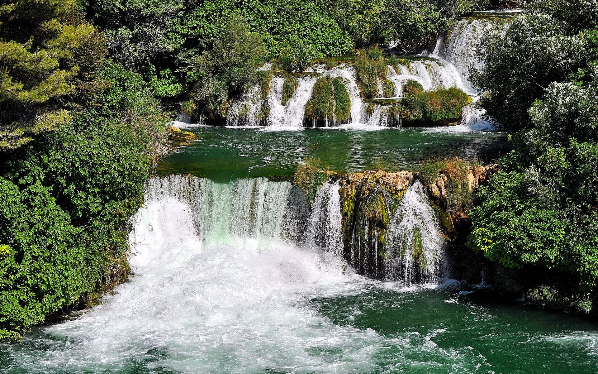 Waterfalls cascade through a lush green forest HD Wallpaper
