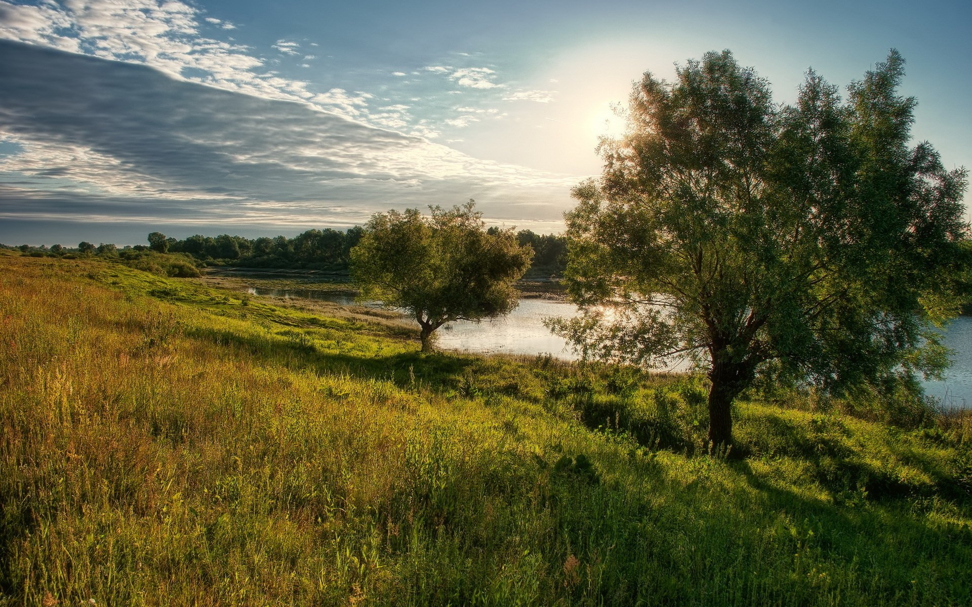 Grassy hill overlooking a lake with trees and sun HD Wallpaper