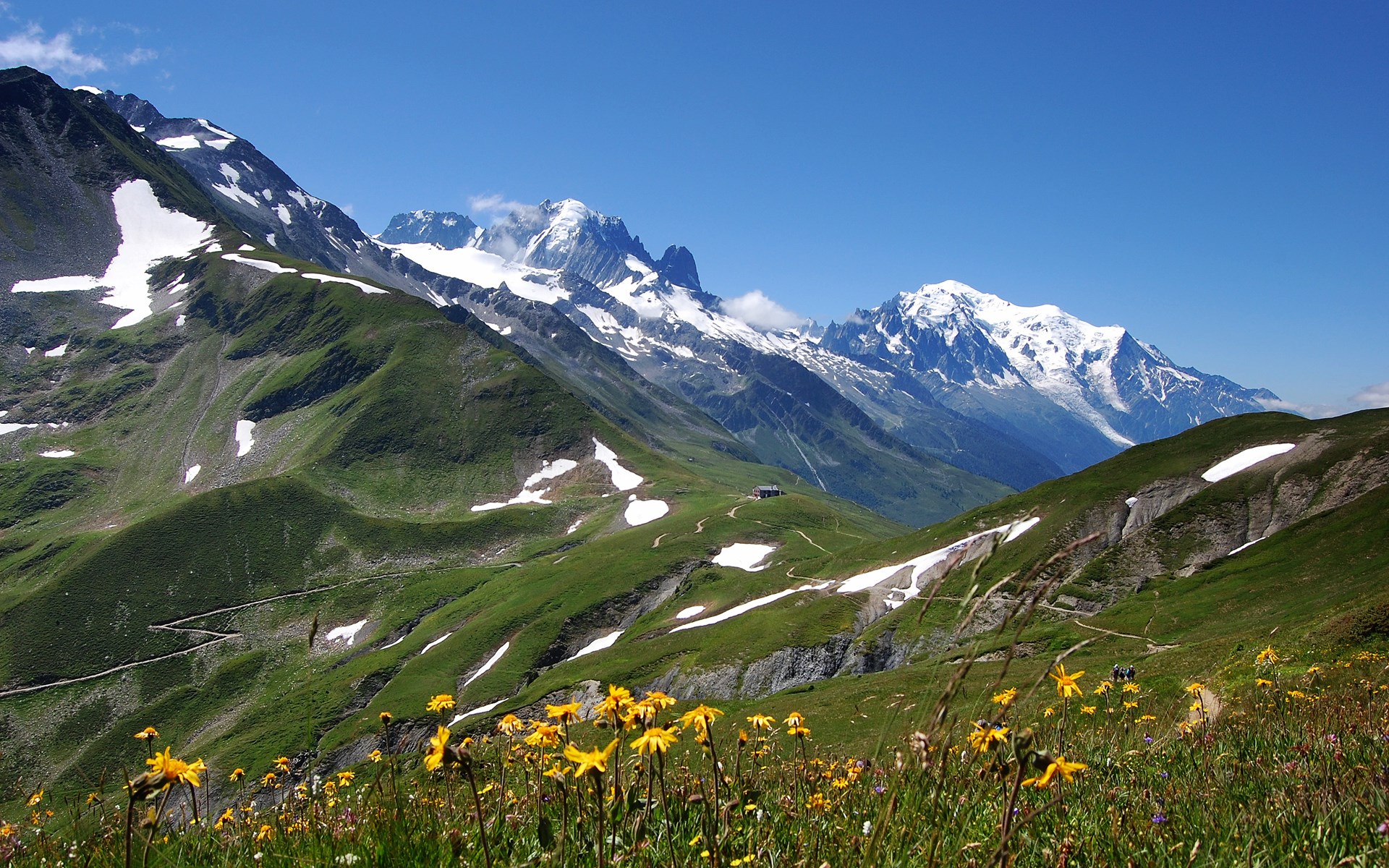 Mountain landscape with snow-capped peaks and wildflowers HD Wallpaper