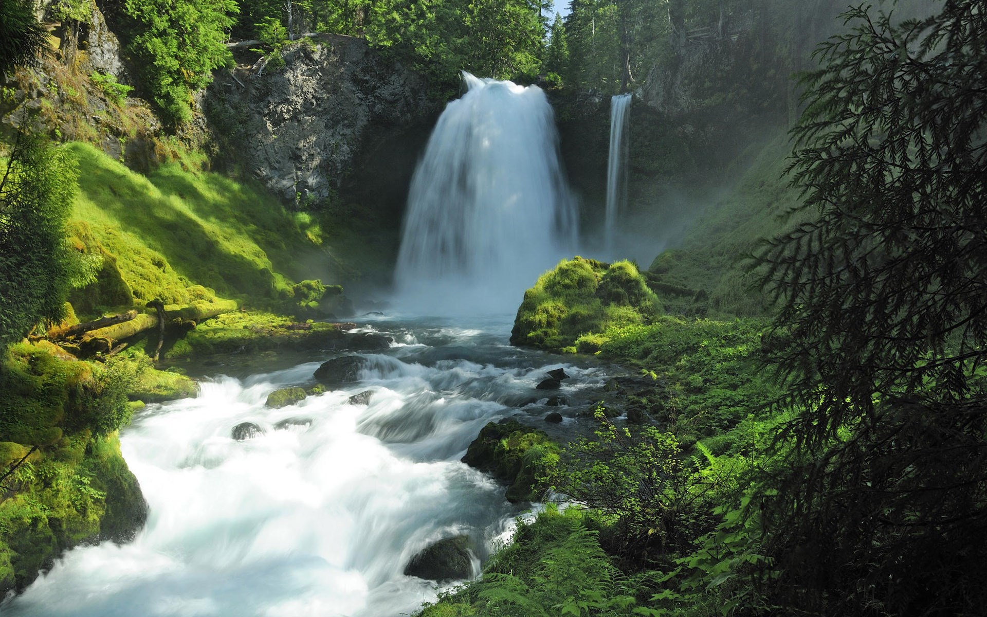 Waterfall in a lush green forest HD Wallpaper