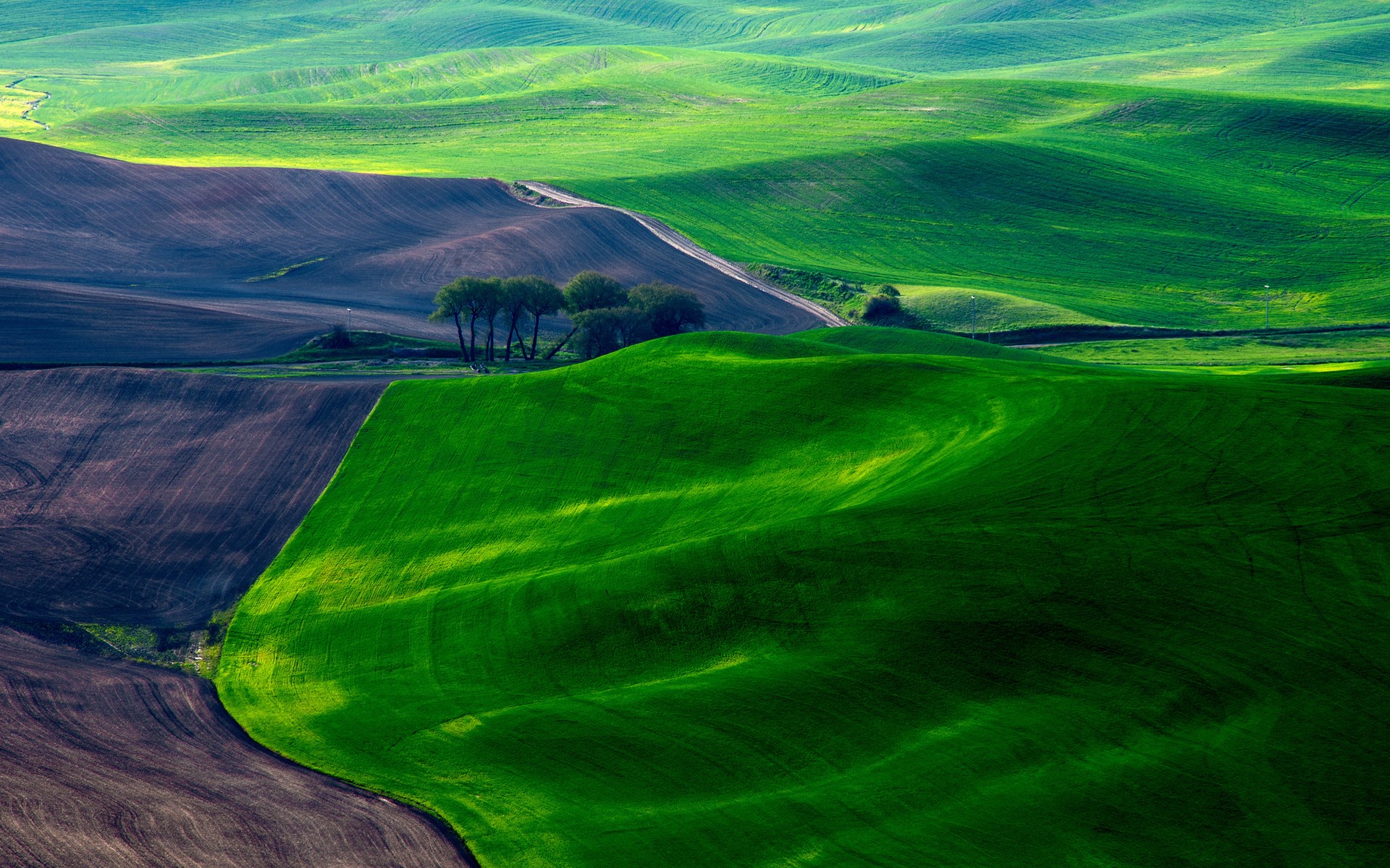 Rolling green and brown hills with a road HD Wallpaper