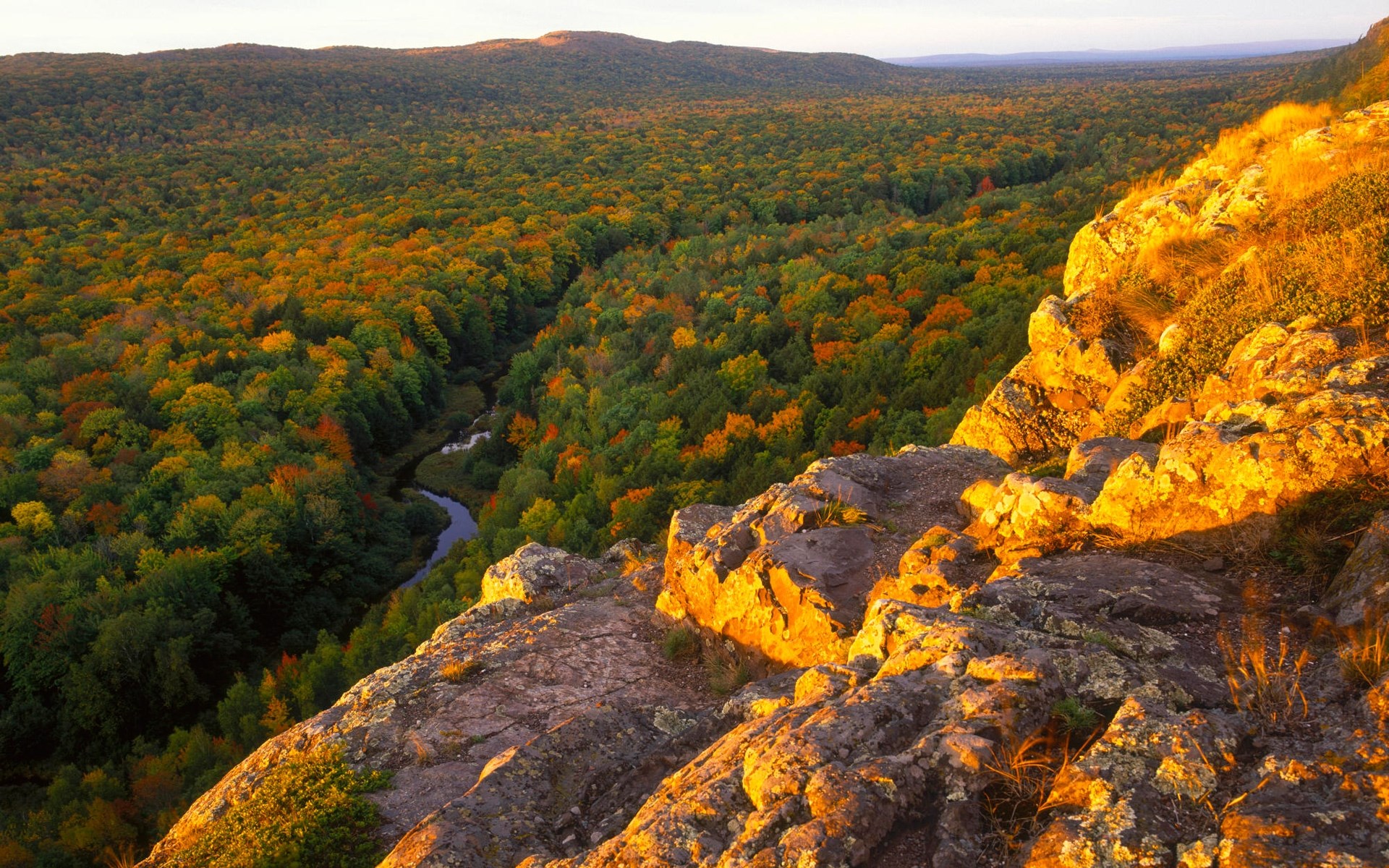 Autumn forest valley with river and rocky cliff HD Wallpaper
