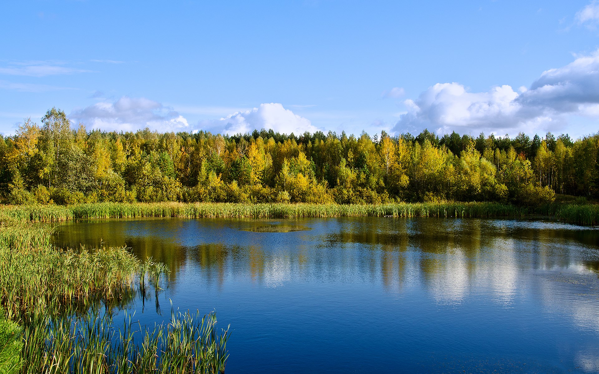 Autumn forest reflected in a calm lake HD Wallpaper