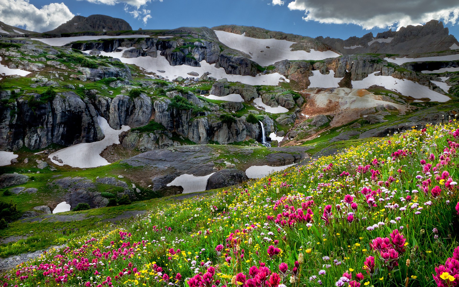 Mountain meadow with wildflowers and snow-capped peaks HD Wallpaper