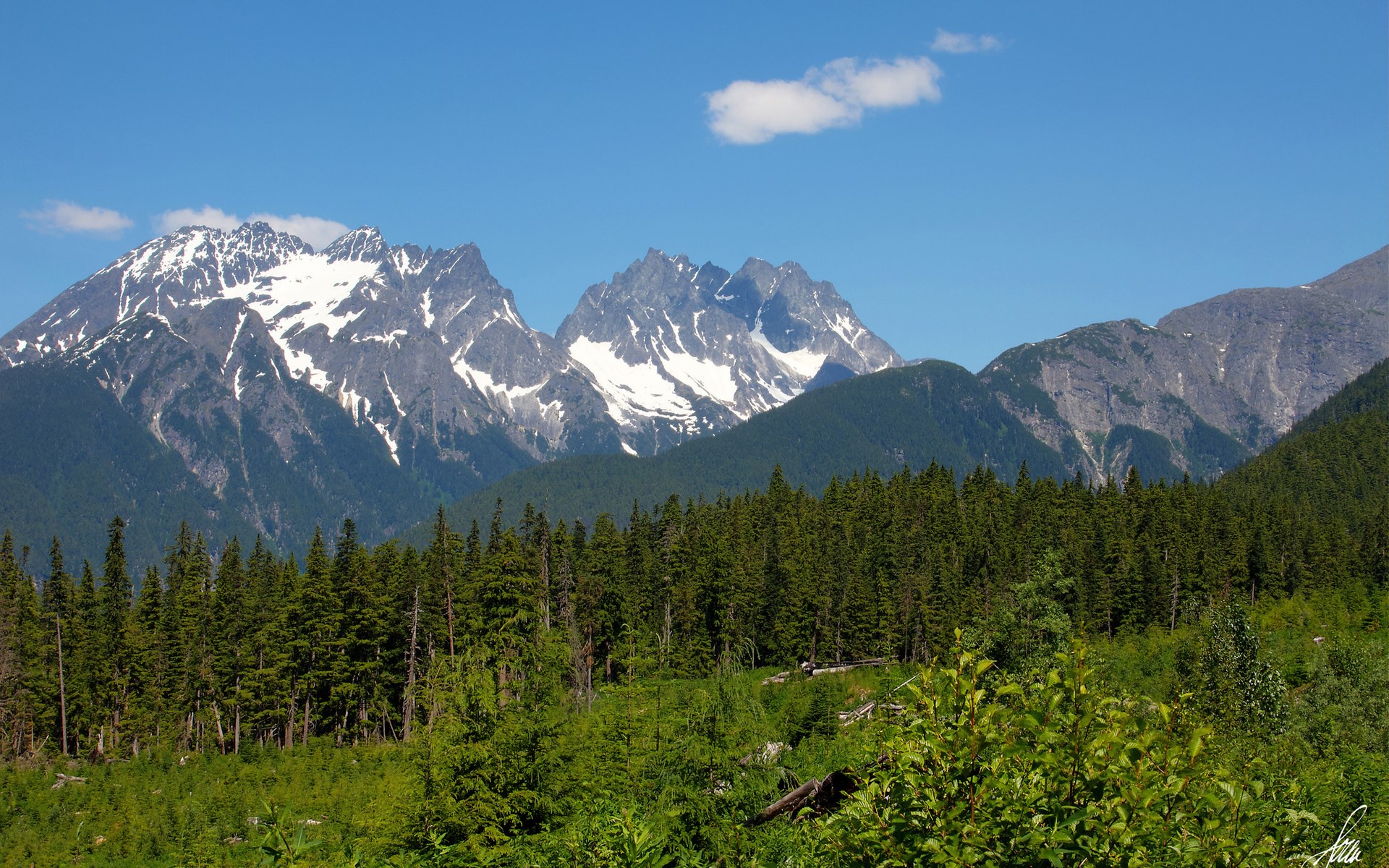 Snow-capped mountains behind a forest HD Wallpaper