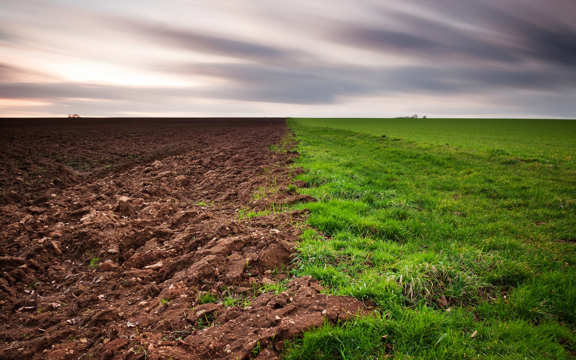 Ploughed field next to a green field under cloudy sky HD Wallpaper