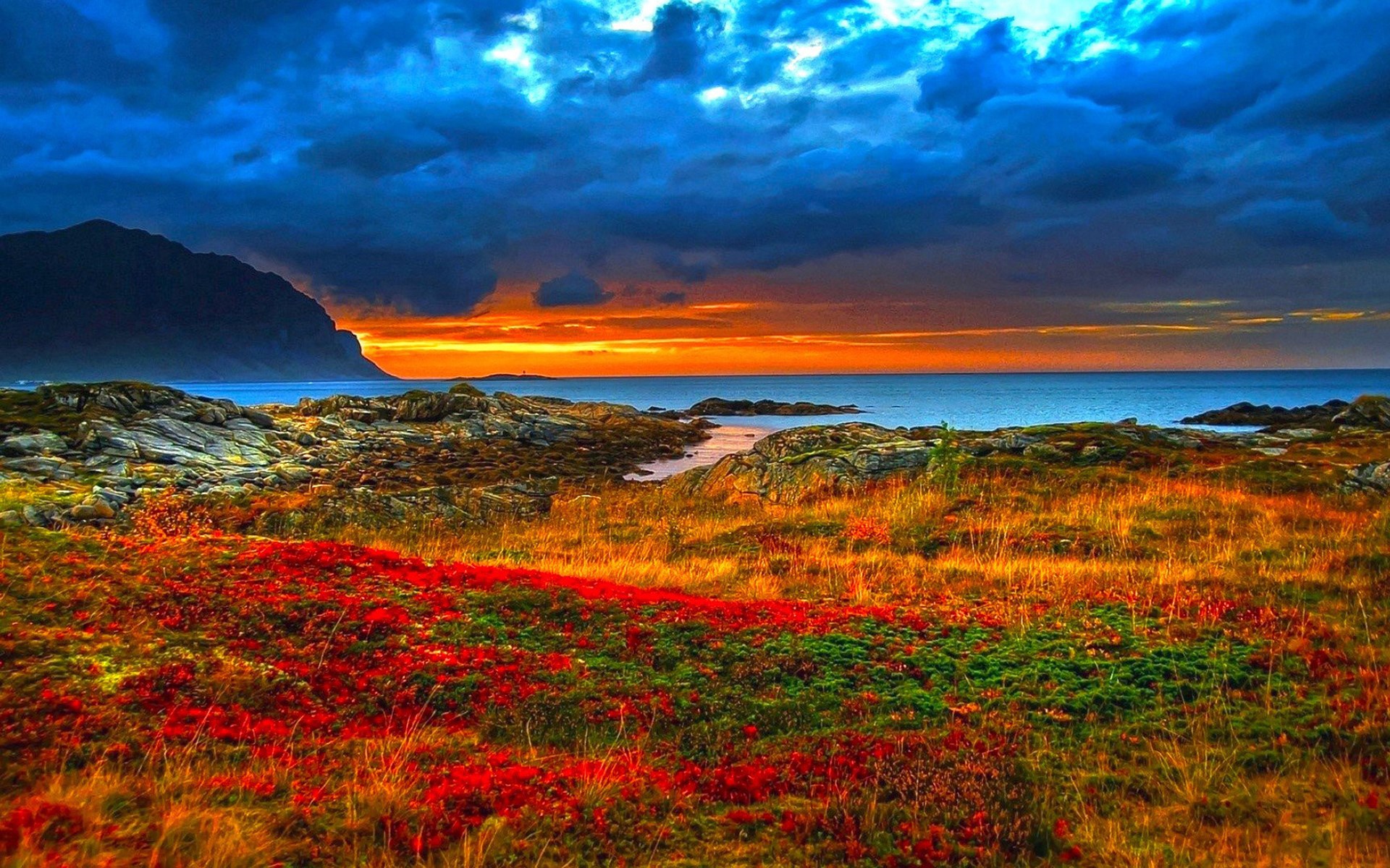 Dramatic sunset over a rocky coastline with colorful foliage HD Wallpaper