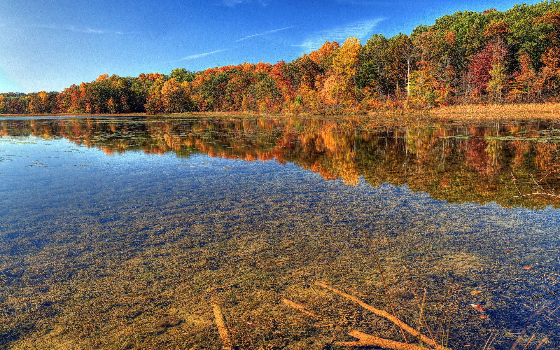 Autumn trees reflected in a clear lake HD Wallpaper