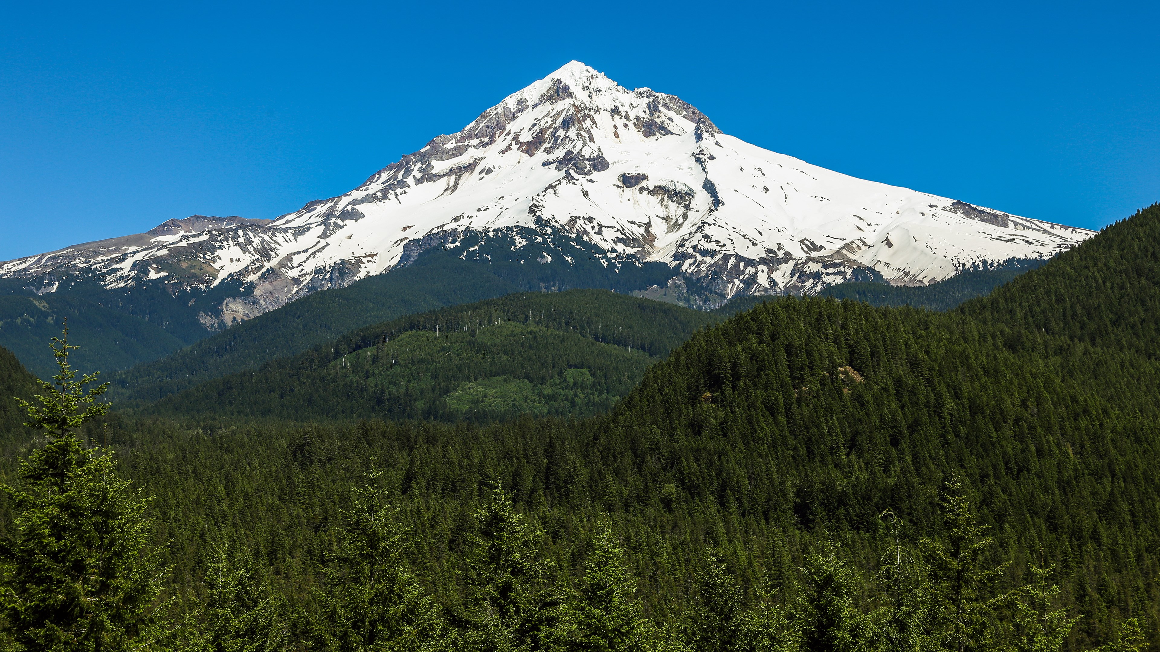 Snow-capped mountain above a dense forest HD Wallpaper