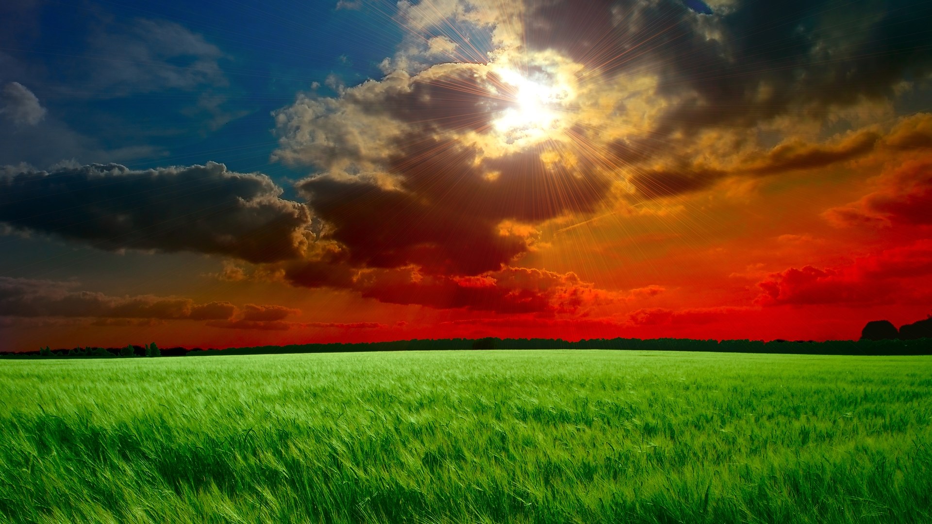 Green field under a colorful sunset sky HD Wallpaper