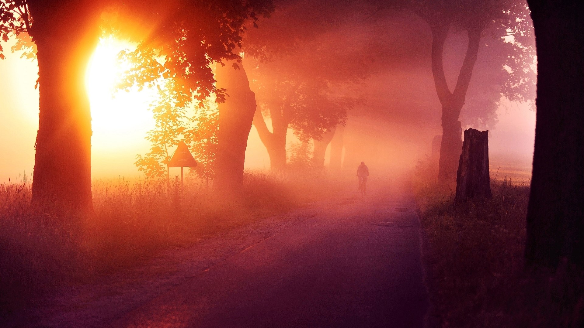 Cyclist on a foggy road at sunrise HD Wallpaper