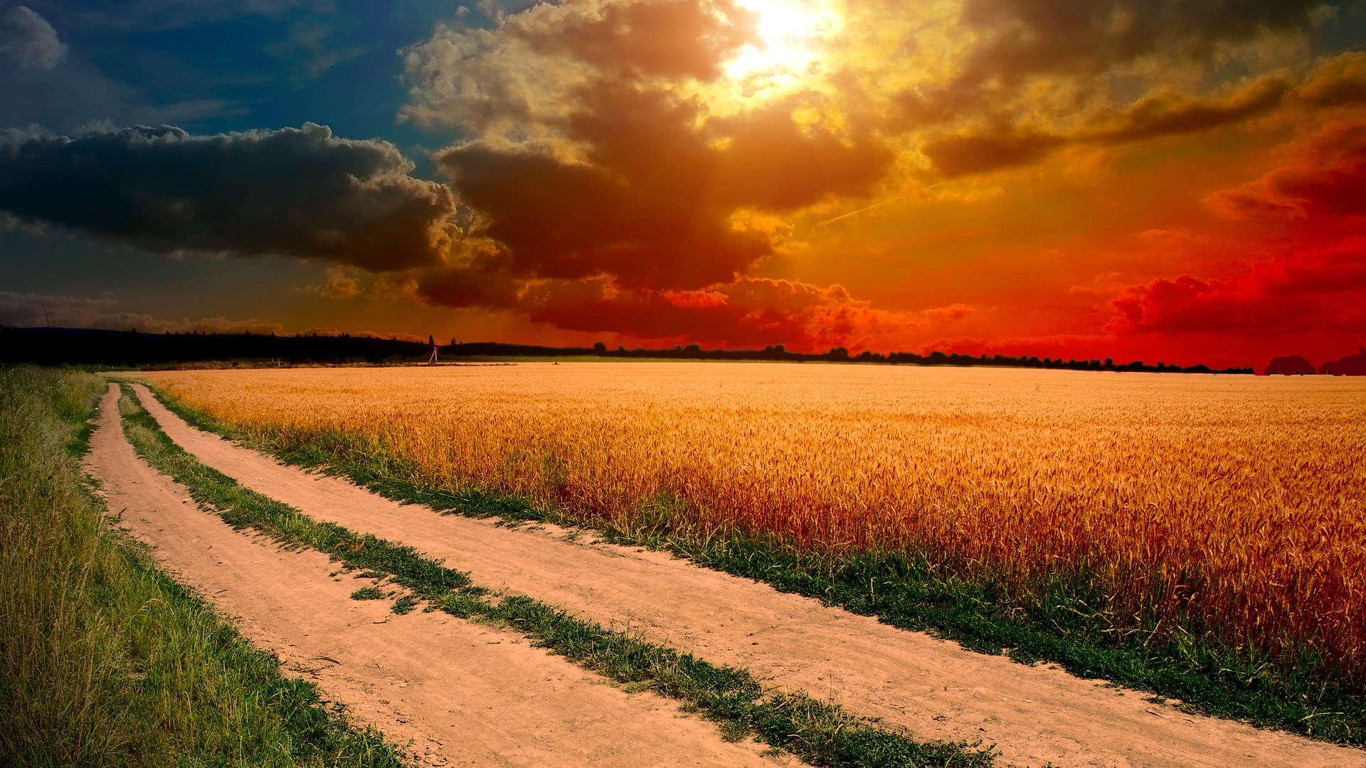 Dirt road through a wheat field at sunset HD Wallpaper