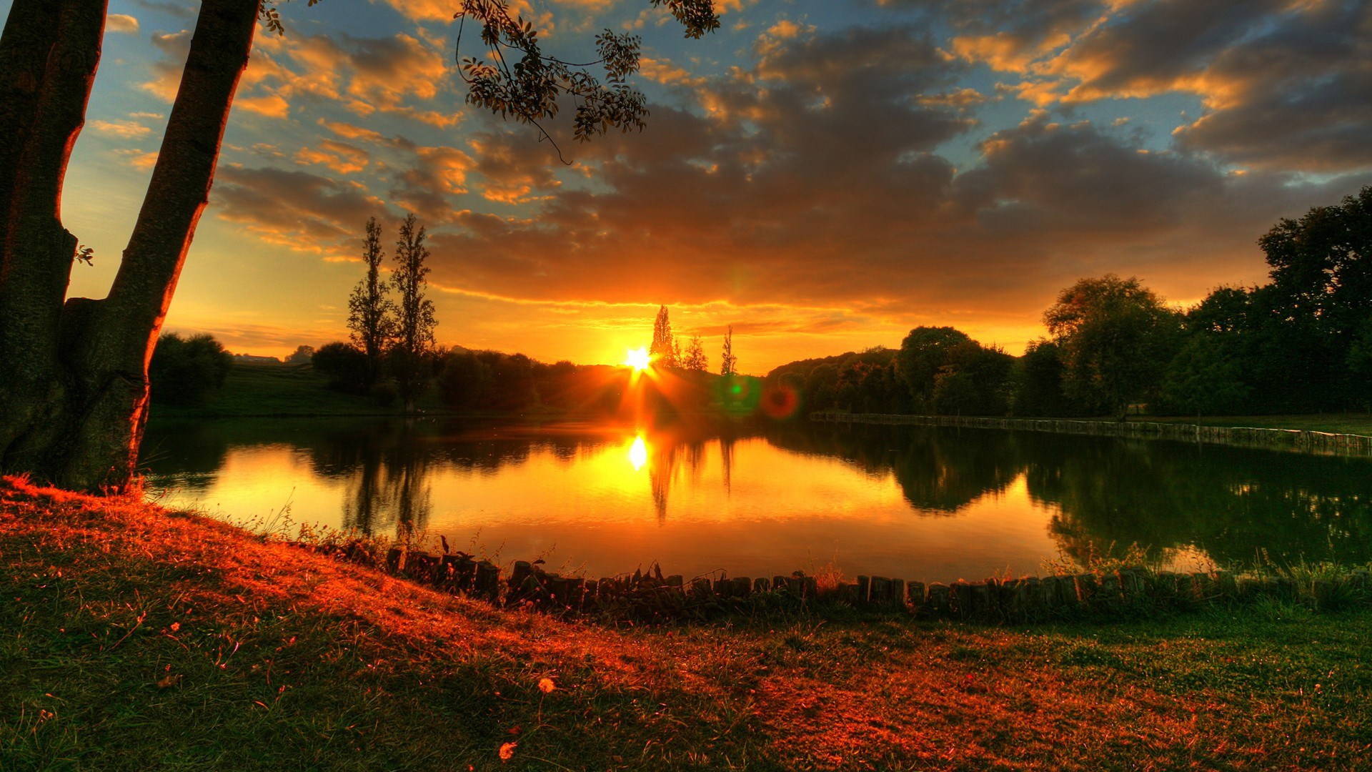 Sunset over a lake with trees and grass HD Wallpaper