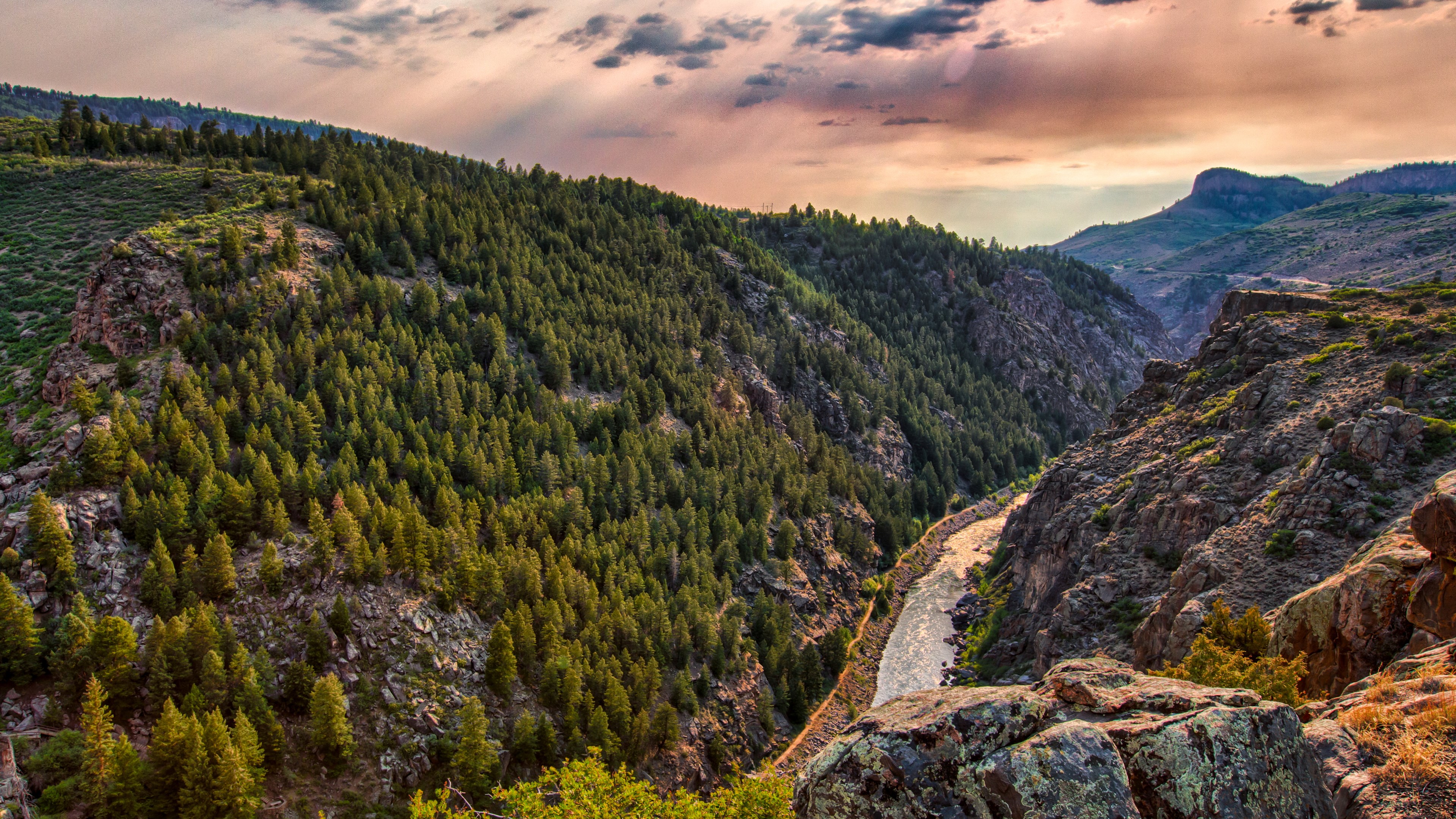 Mountainous canyon with a river and pine trees HD Wallpaper