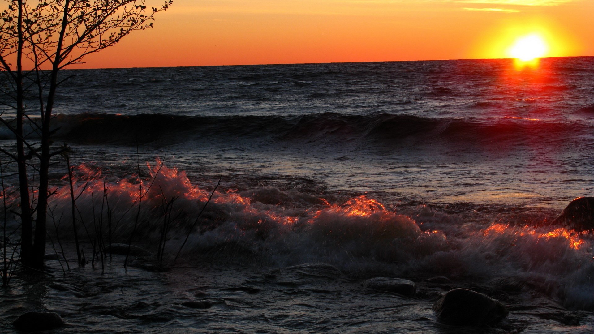 Sunset over ocean waves with tree silhouette HD Wallpaper