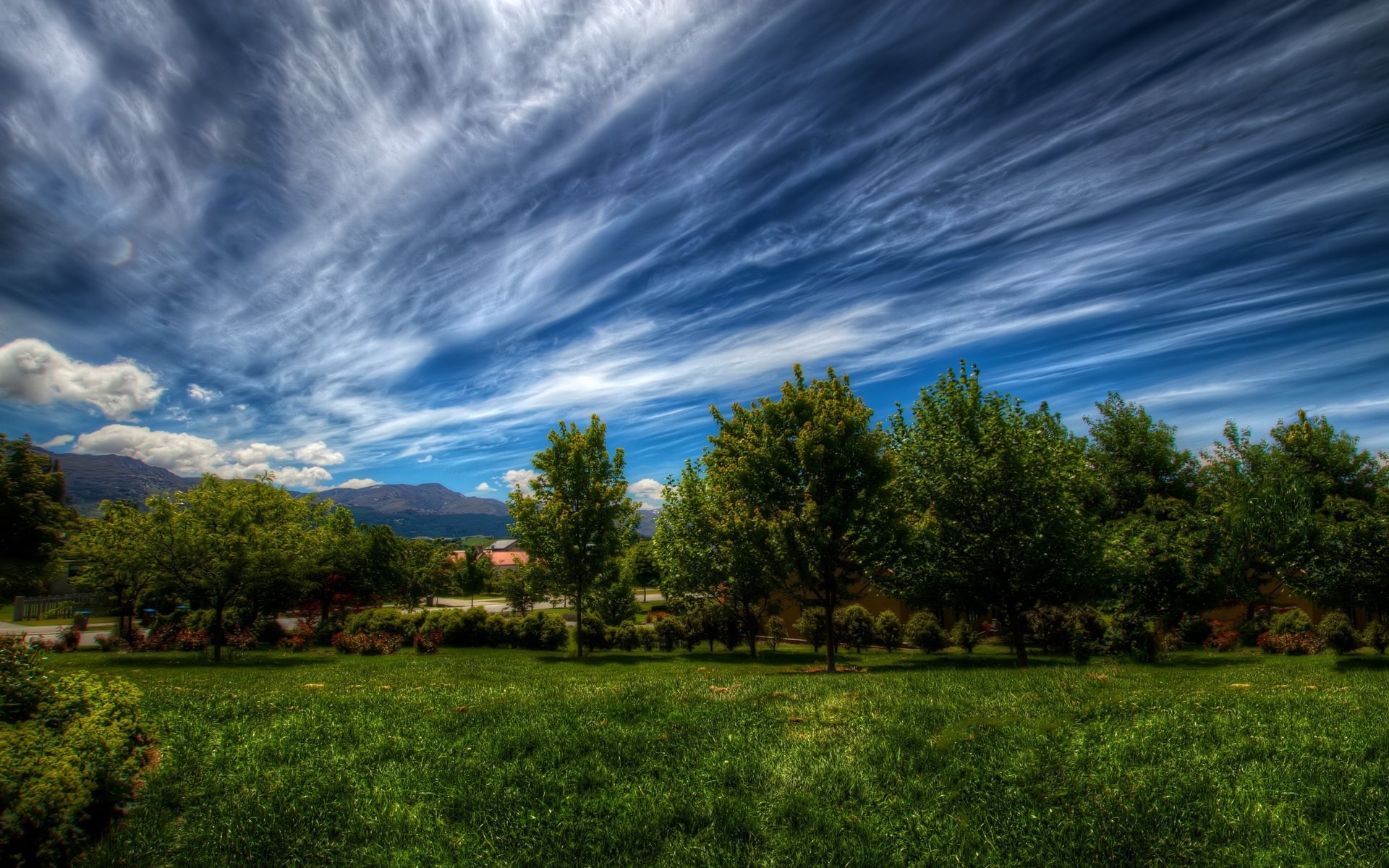 Grassy field with trees and mountains under a cloudy sky HD Wallpaper
