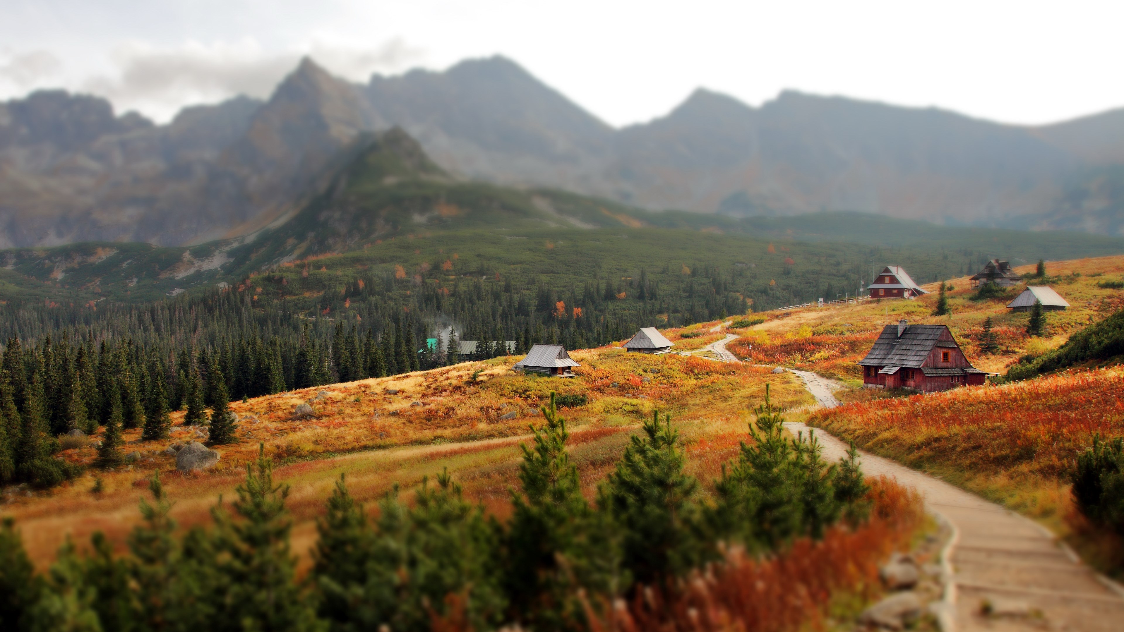 Mountain landscape with cabins and autumn foliage HD Wallpaper