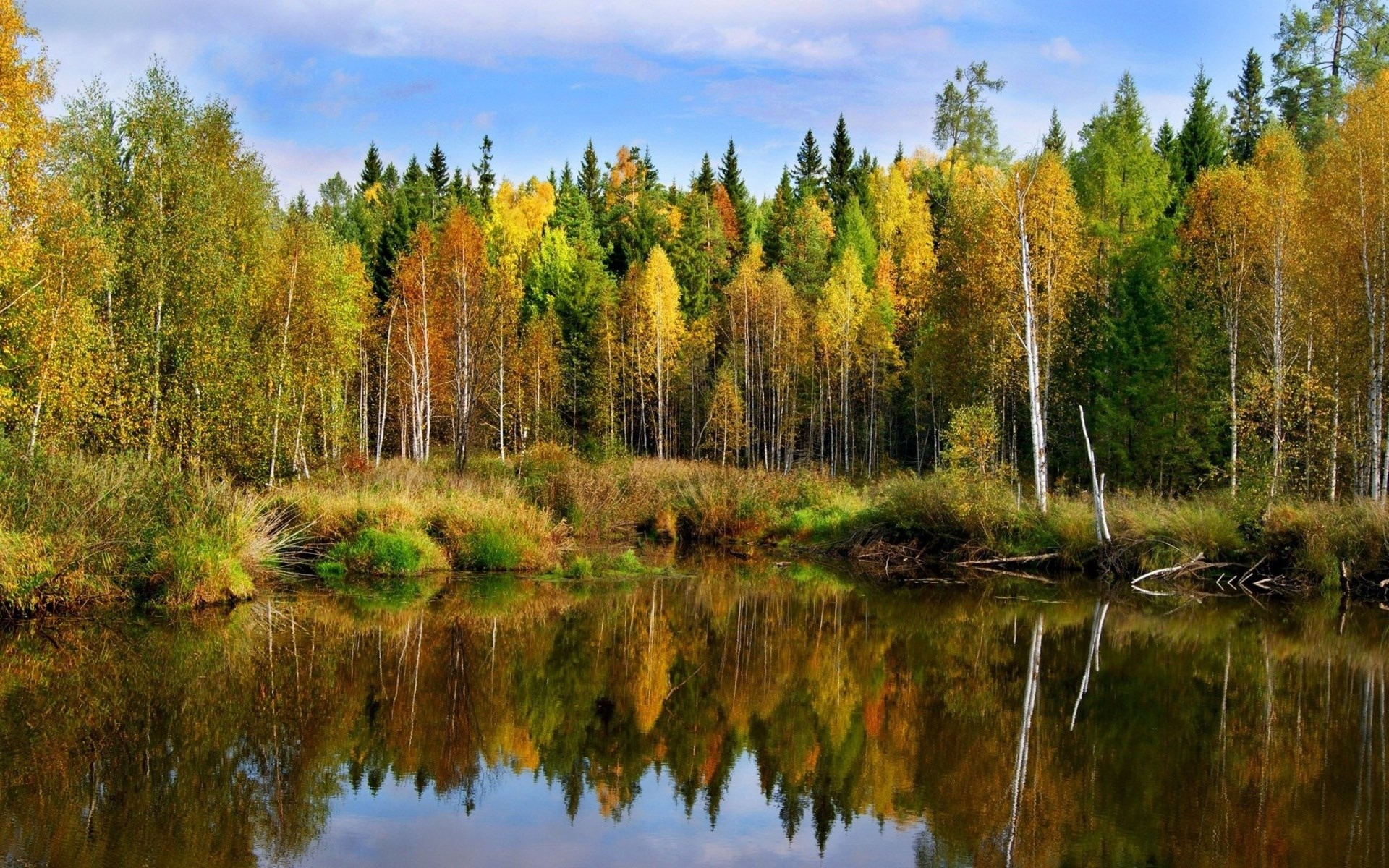 Autumn forest reflected in a calm lake HD Wallpaper