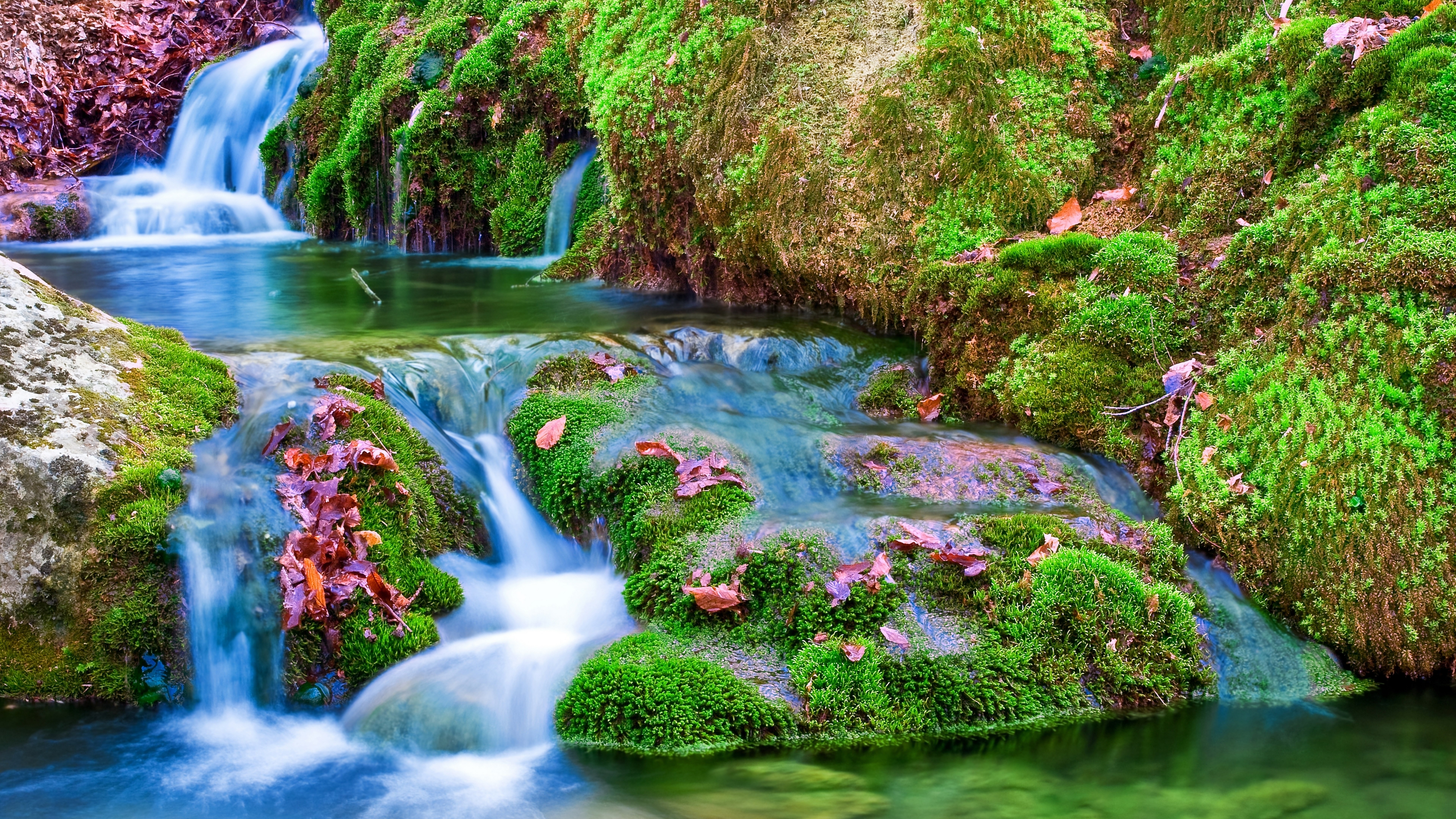 Mossy rocks with waterfalls and fallen leaves HD Wallpaper