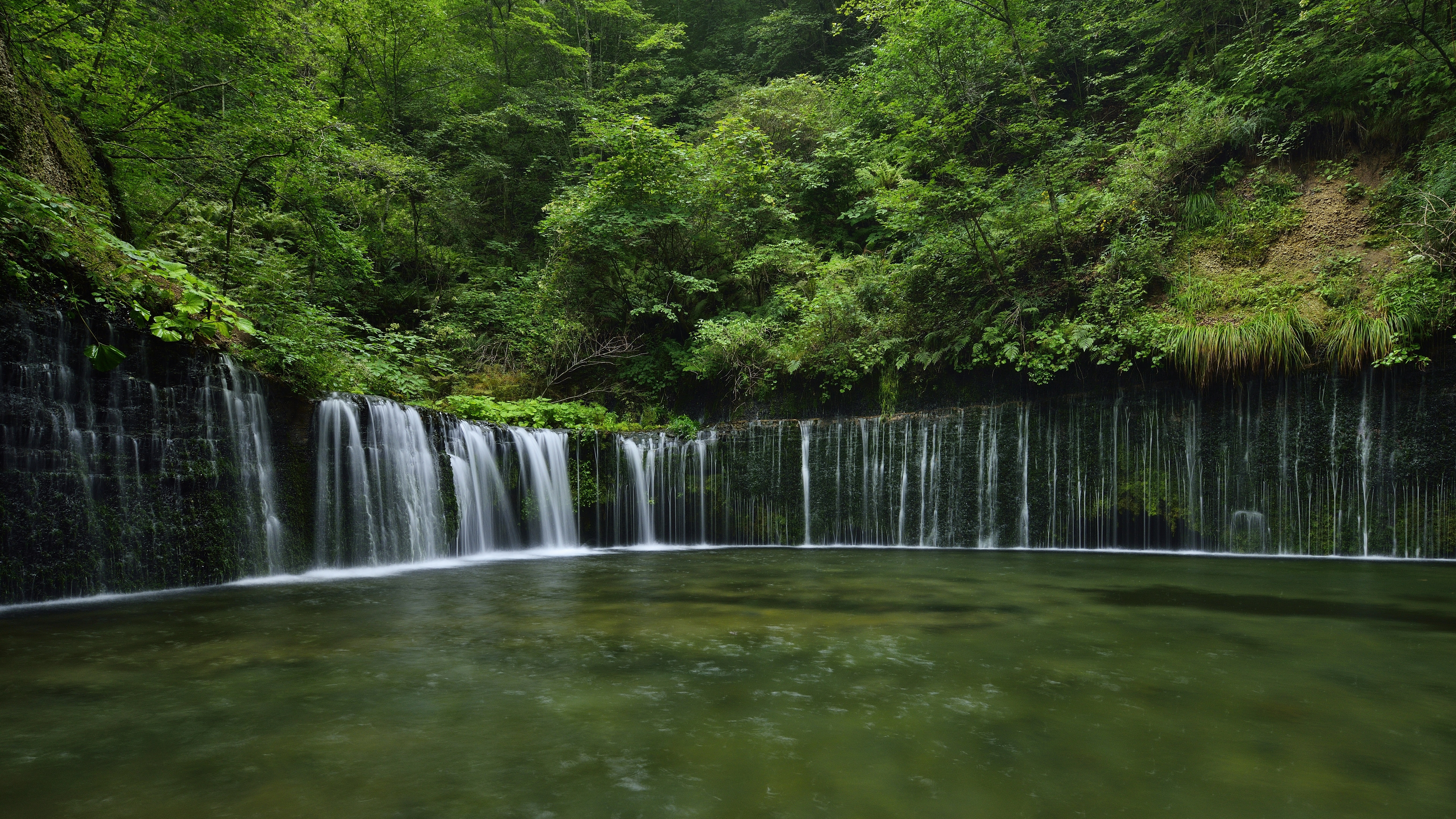 Waterfall cascading into a serene pool in a lush forest HD Wallpaper