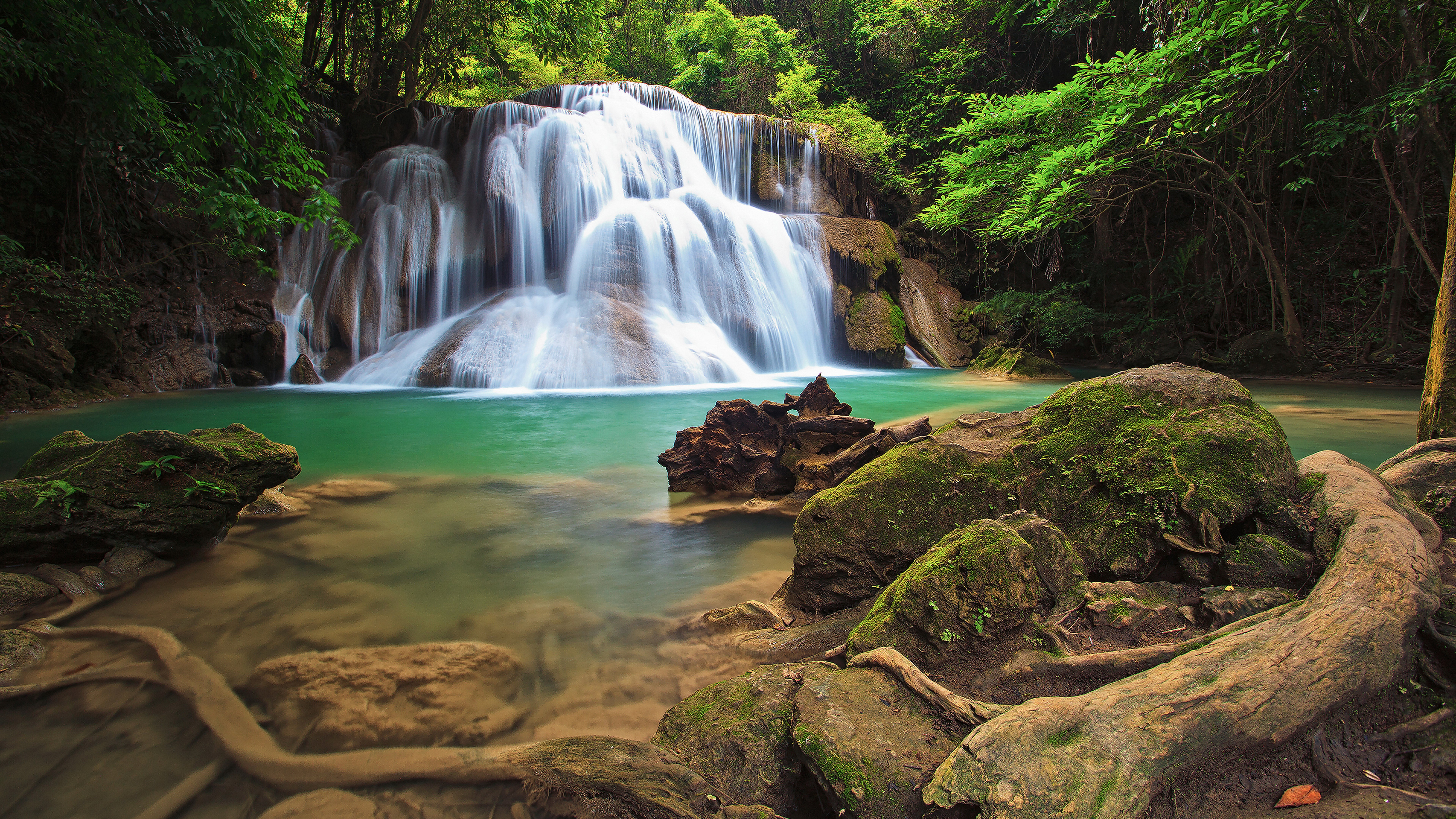 Waterfall cascading into a turquoise pool in a lush forest HD Wallpaper