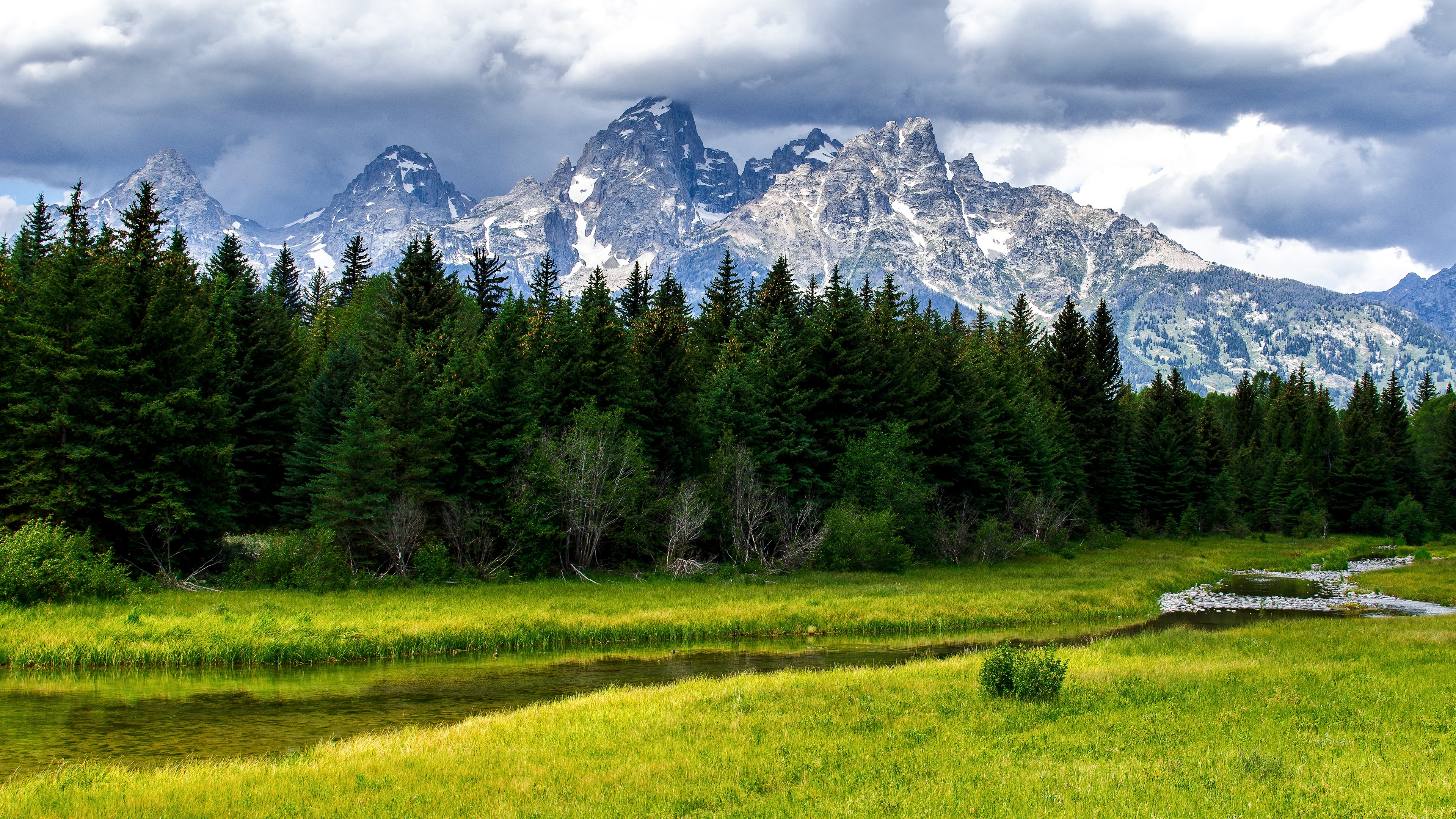 Grand Teton National Park with stream and forest HD Wallpaper