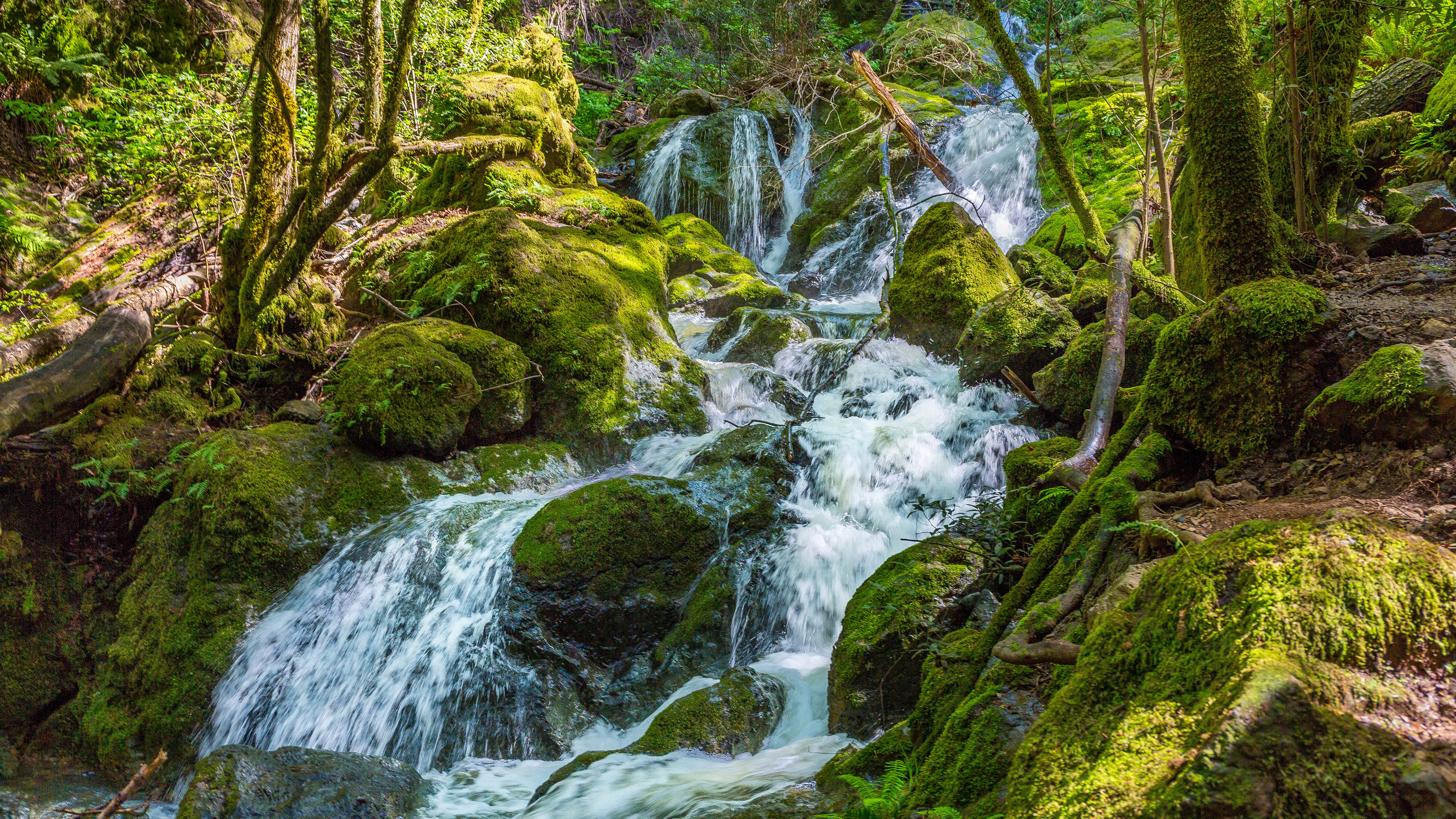 Mossy rocks and a waterfall in a forest HD Wallpaper