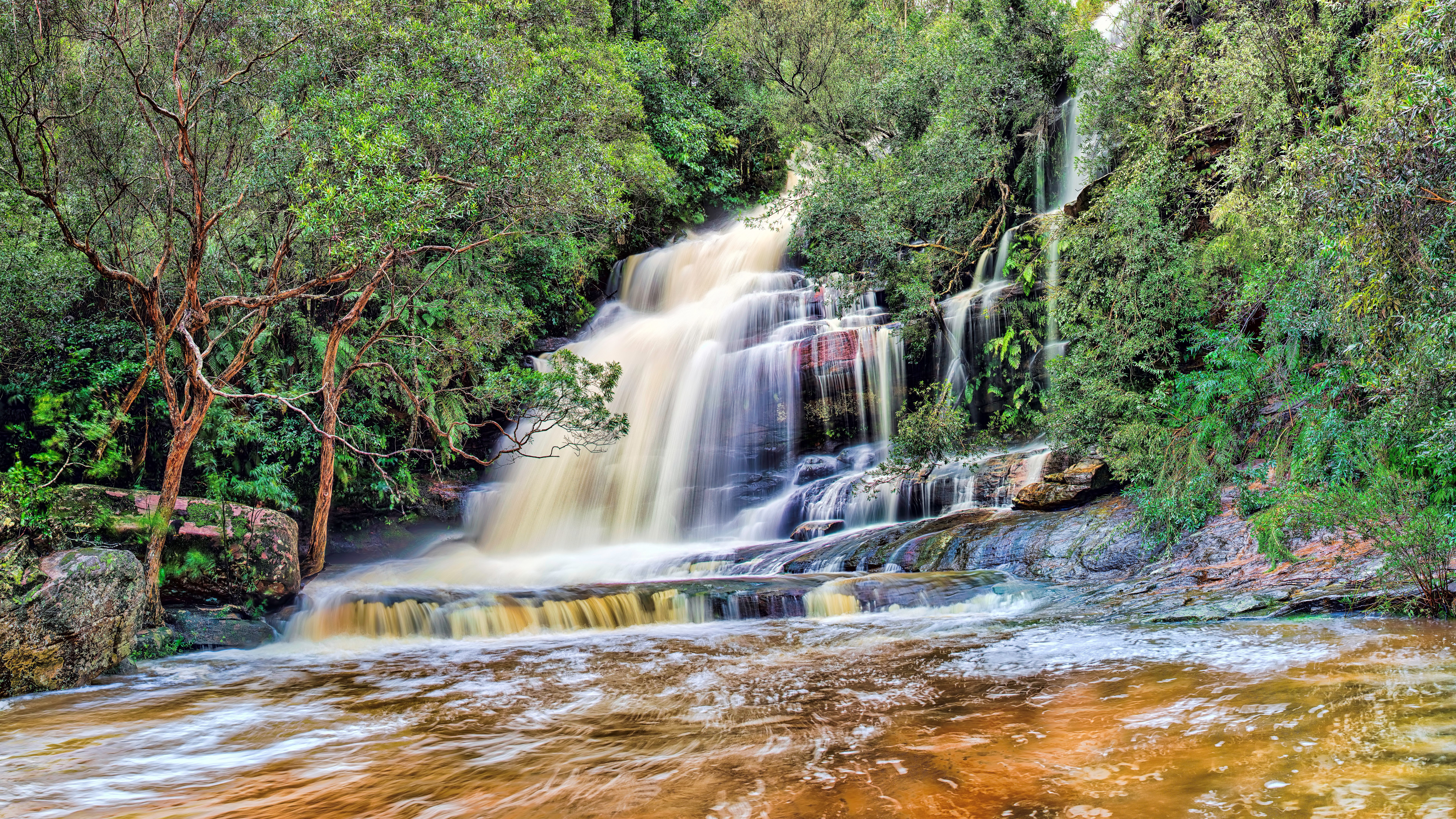 Waterfall cascading through a lush green forest HD Wallpaper