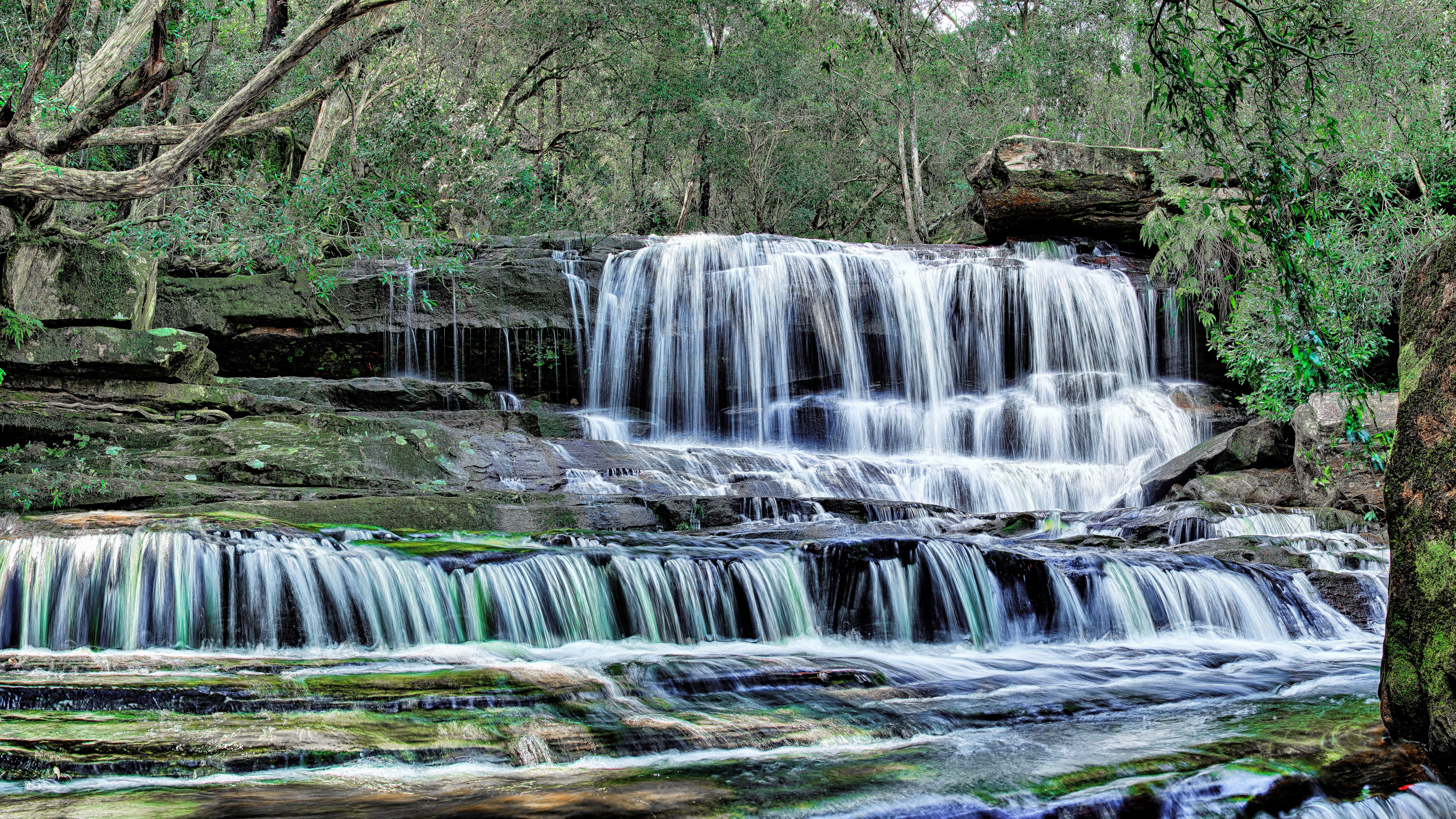 Multi-tiered waterfall in a forest HD Wallpaper