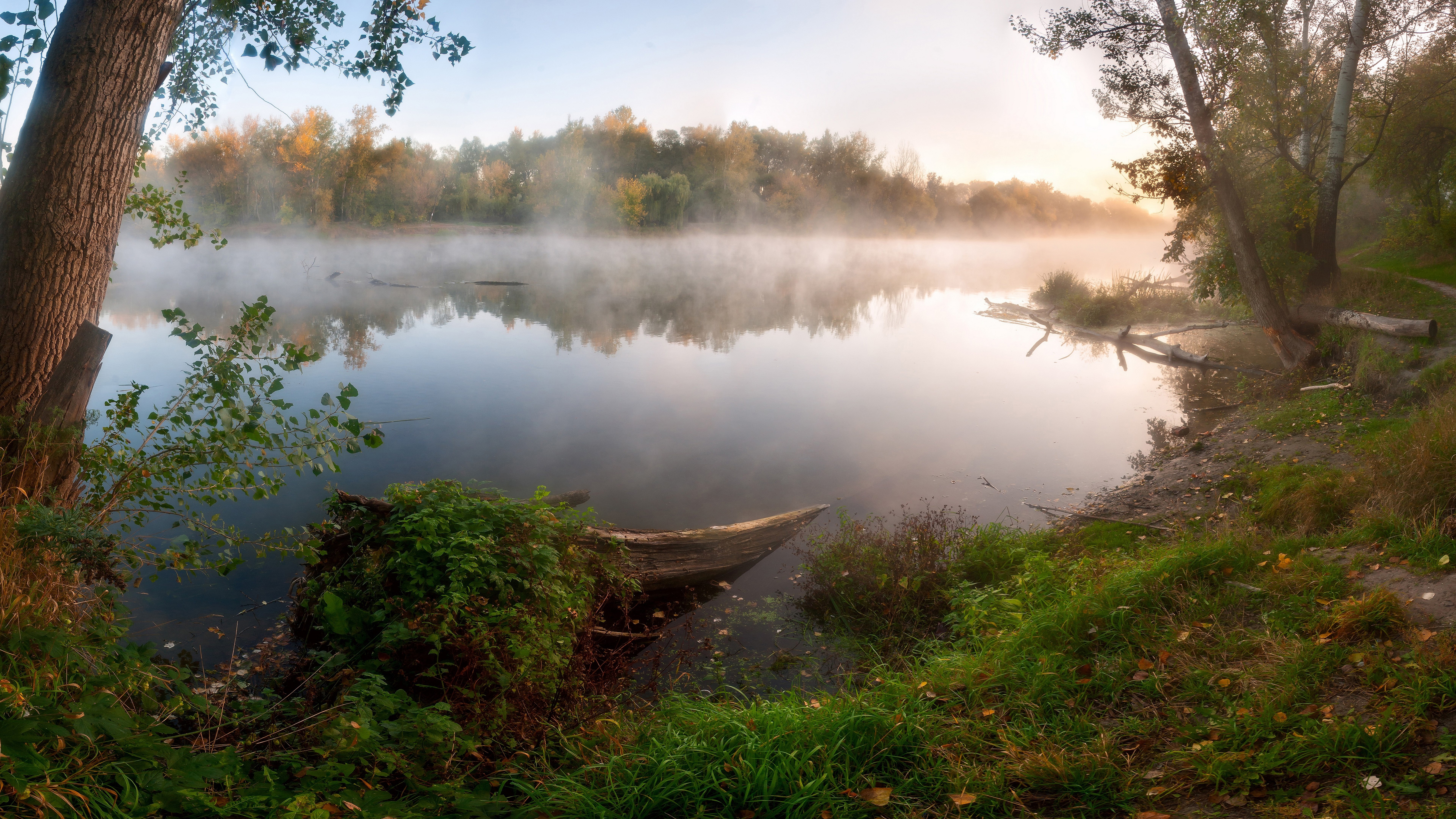 Misty river at sunrise with trees and logs HD Wallpaper