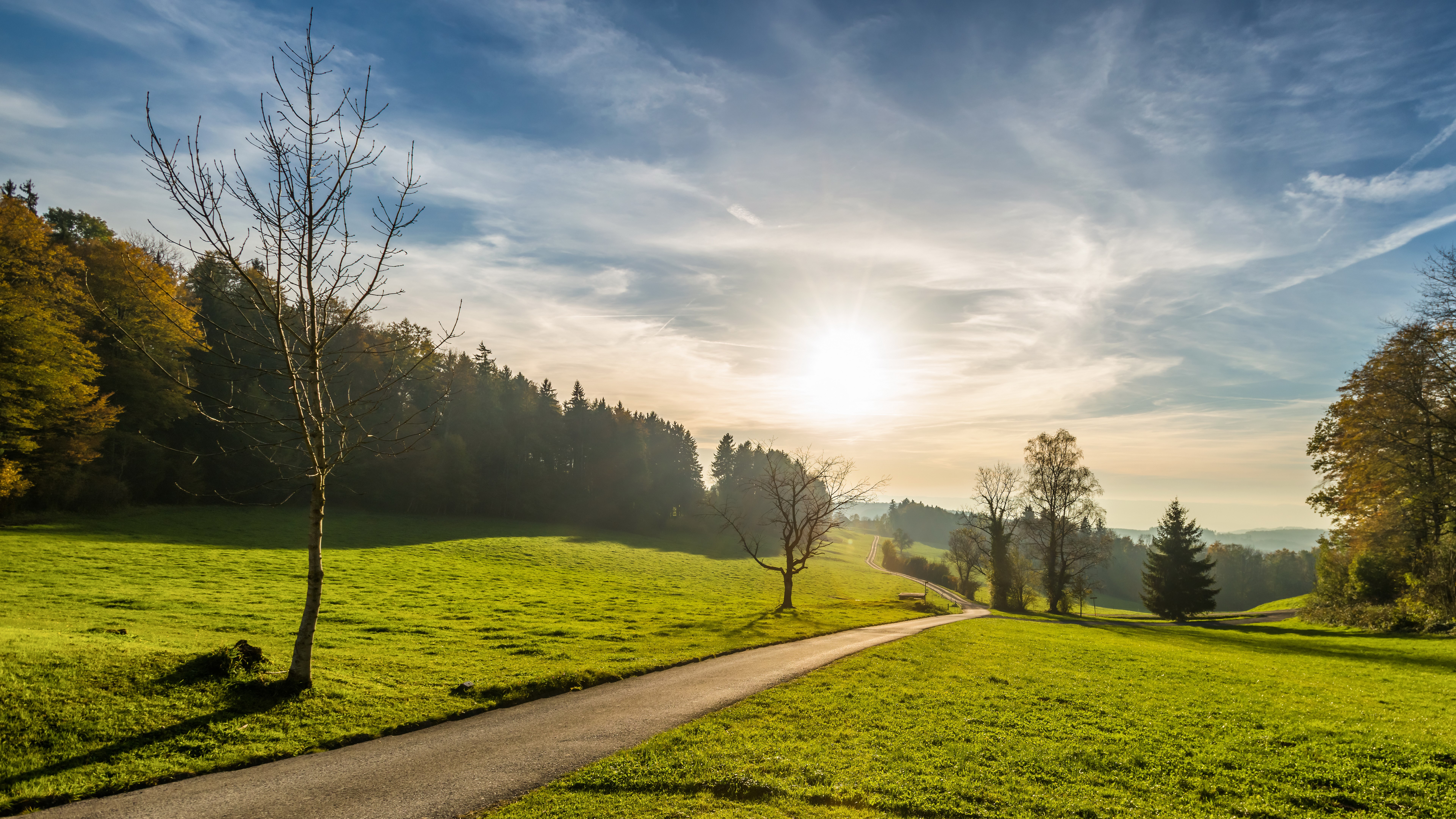 A winding path through a sunlit meadow in autumn HD Wallpaper