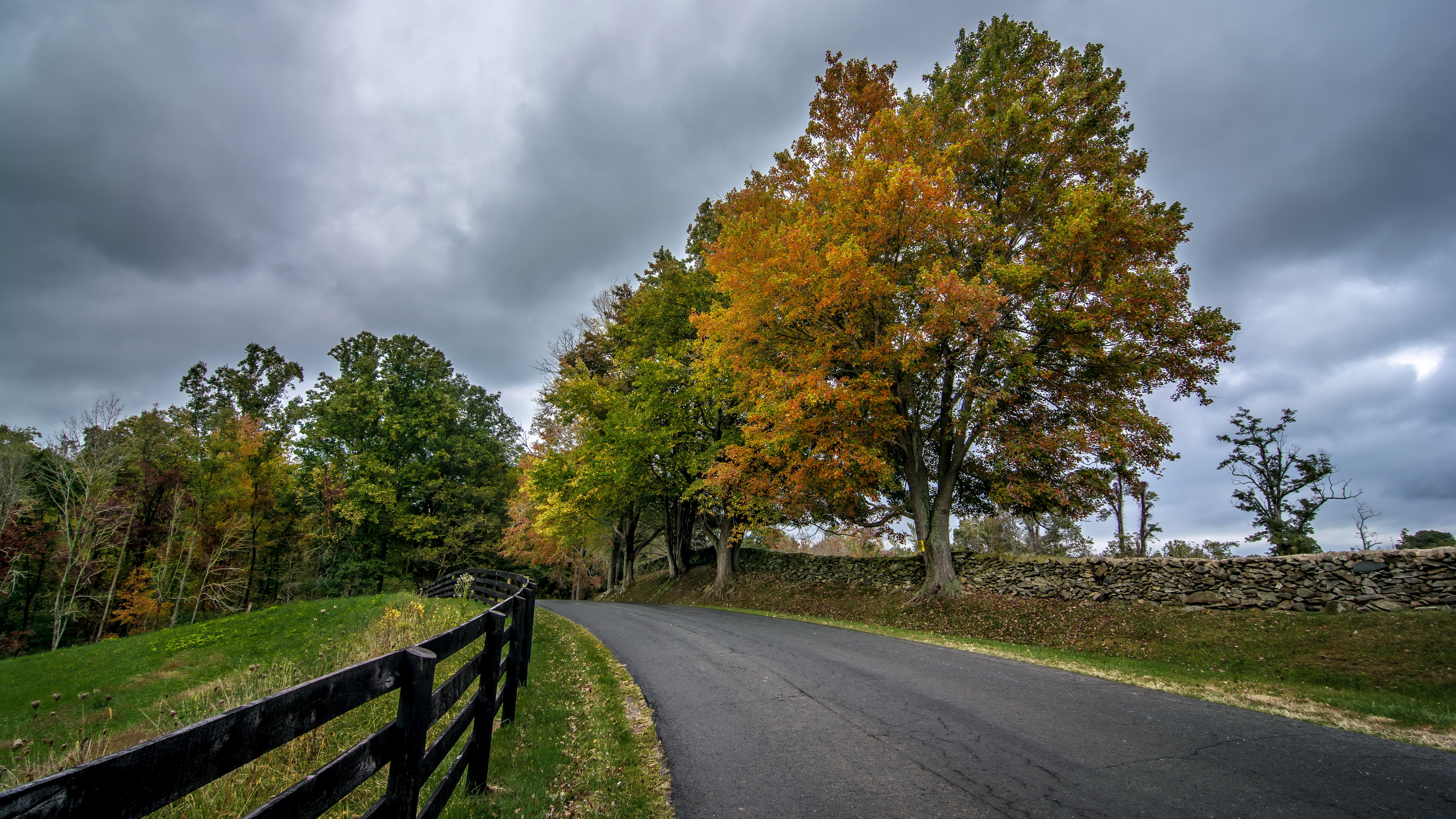 Autumn road with trees and stone wall HD Wallpaper