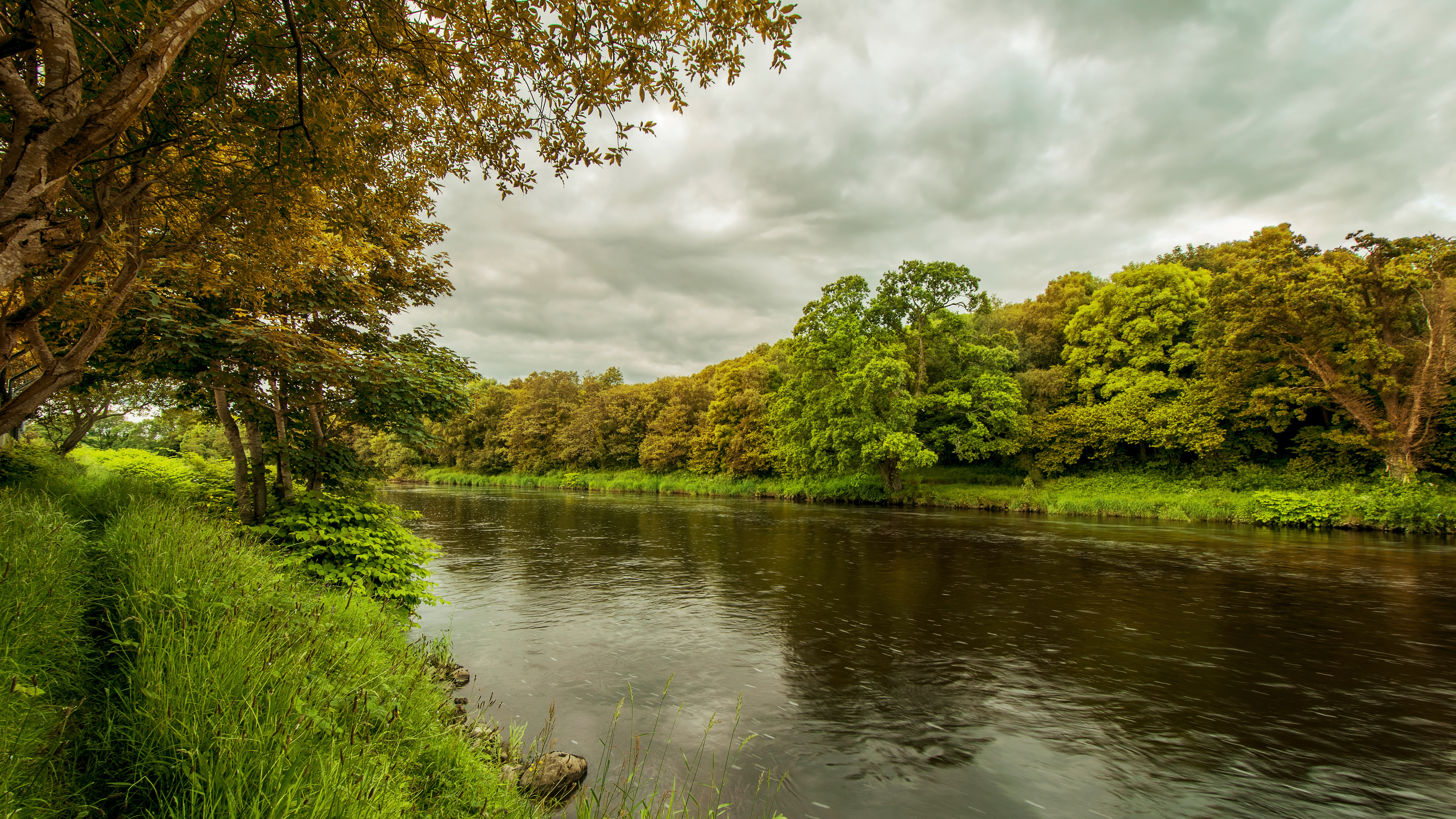 River flowing through a forest with cloudy sky HD Wallpaper