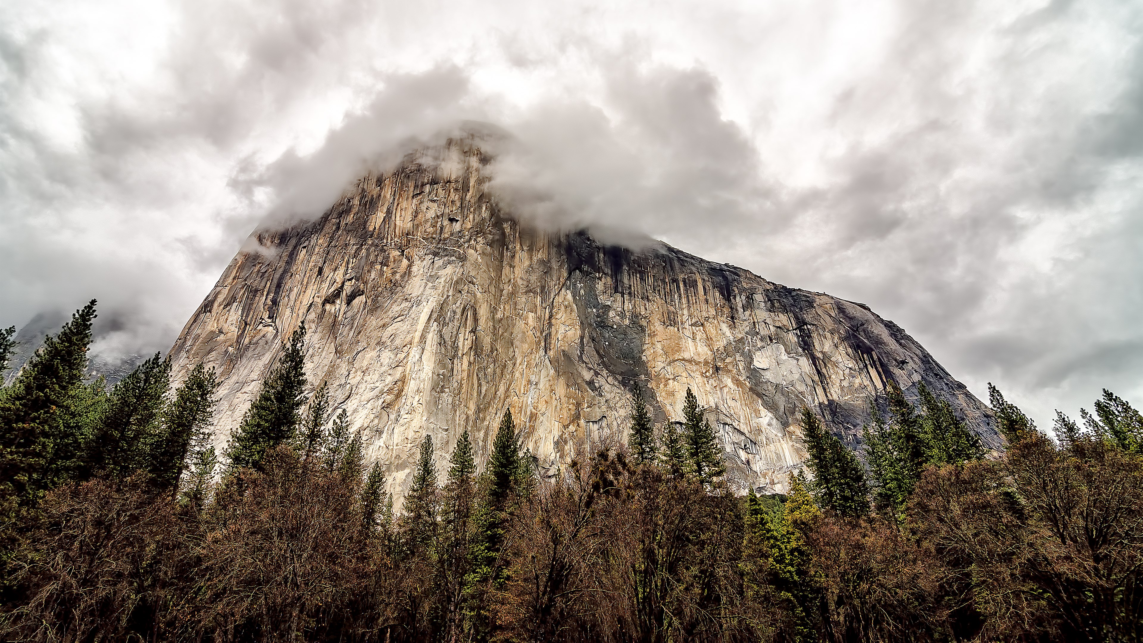 El Capitan Yosemite National Park HD Wallpaper