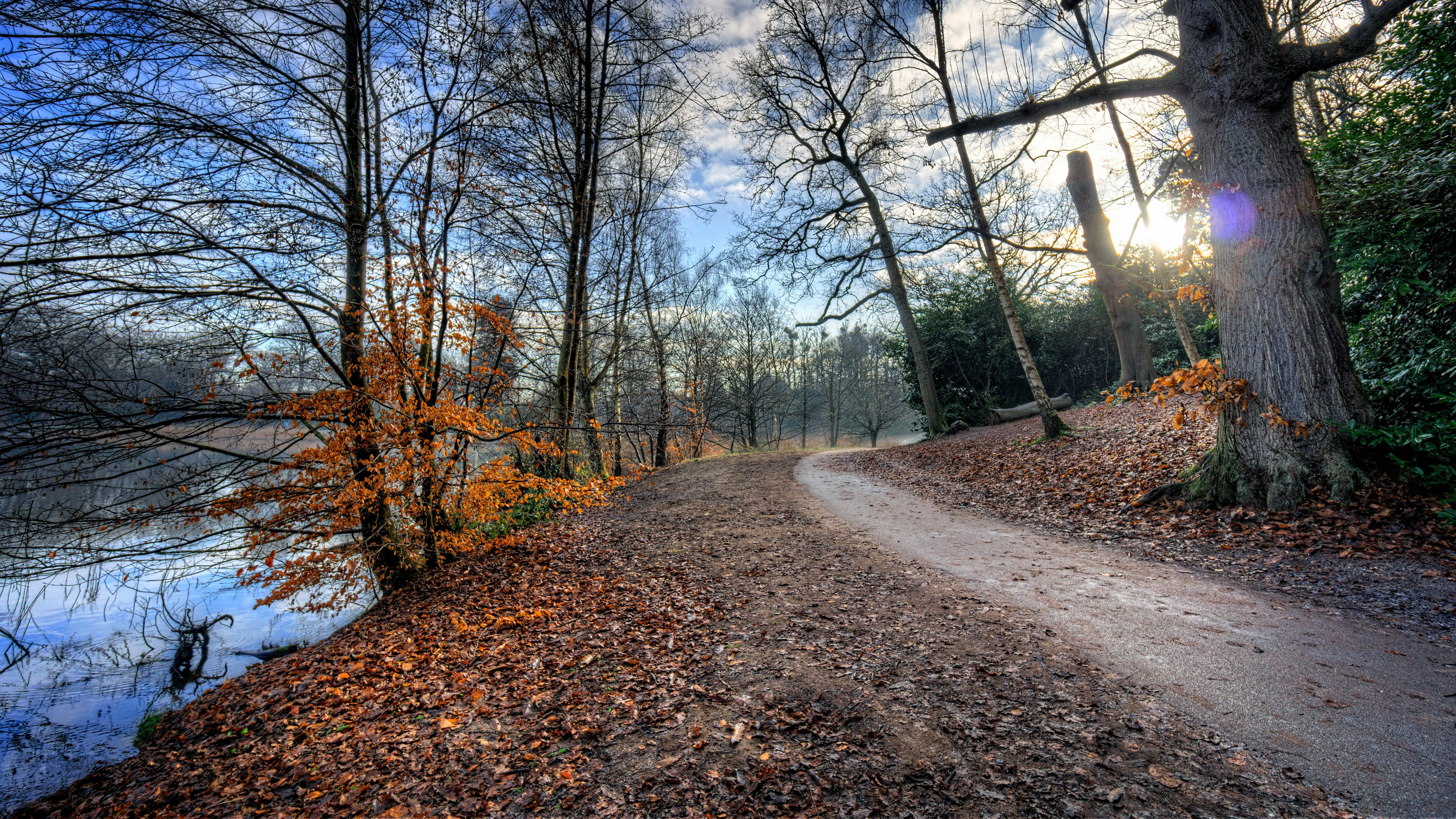 Autumn path by a lake with bare trees HD Wallpaper