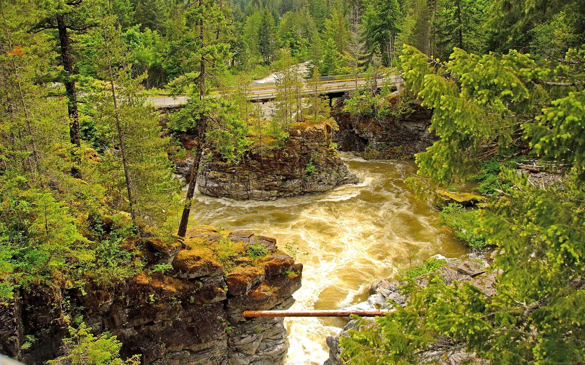 River flowing through a rocky gorge with a bridge overhead HD Wallpaper