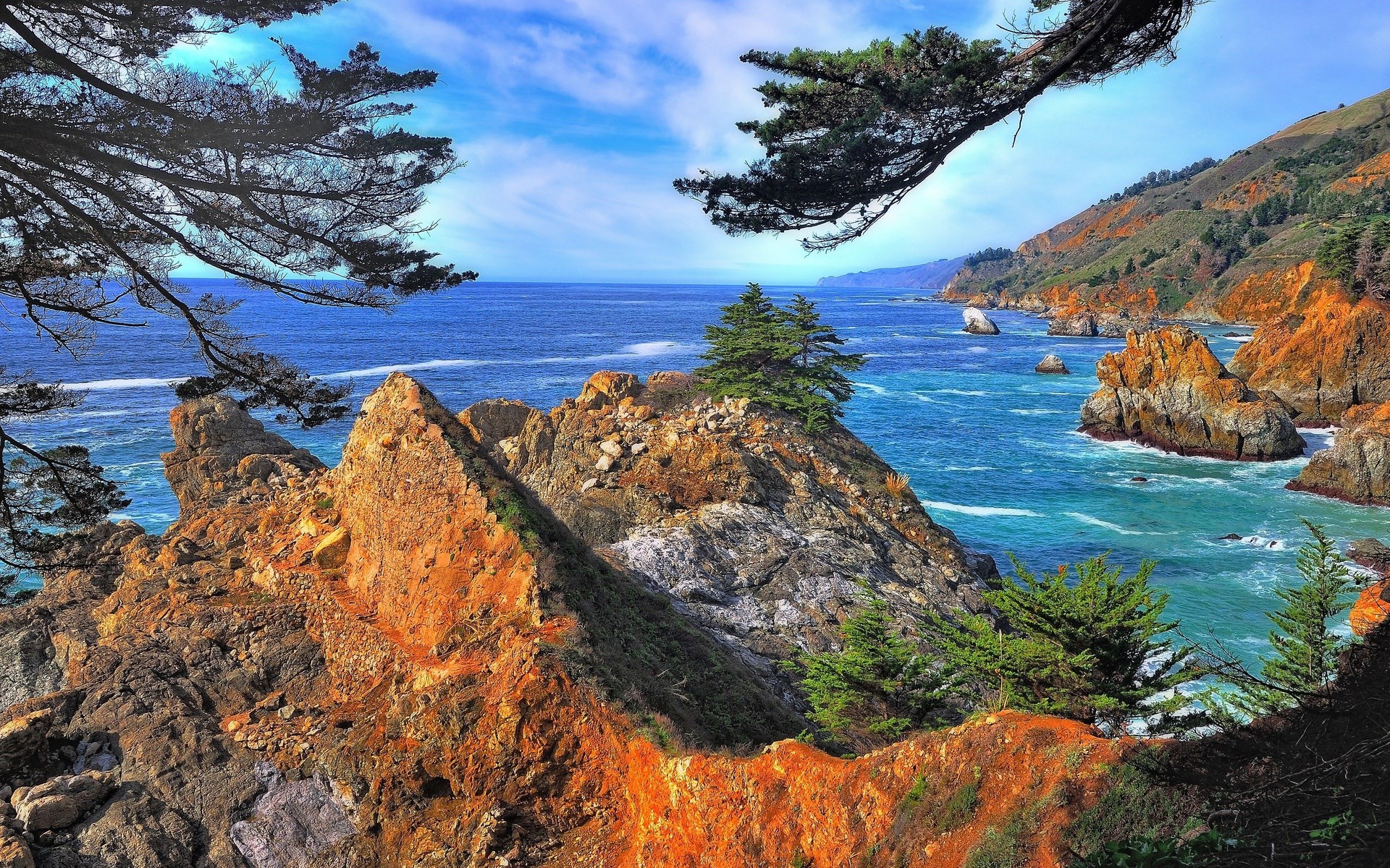 Rocky coastline with ocean waves and trees HD Wallpaper